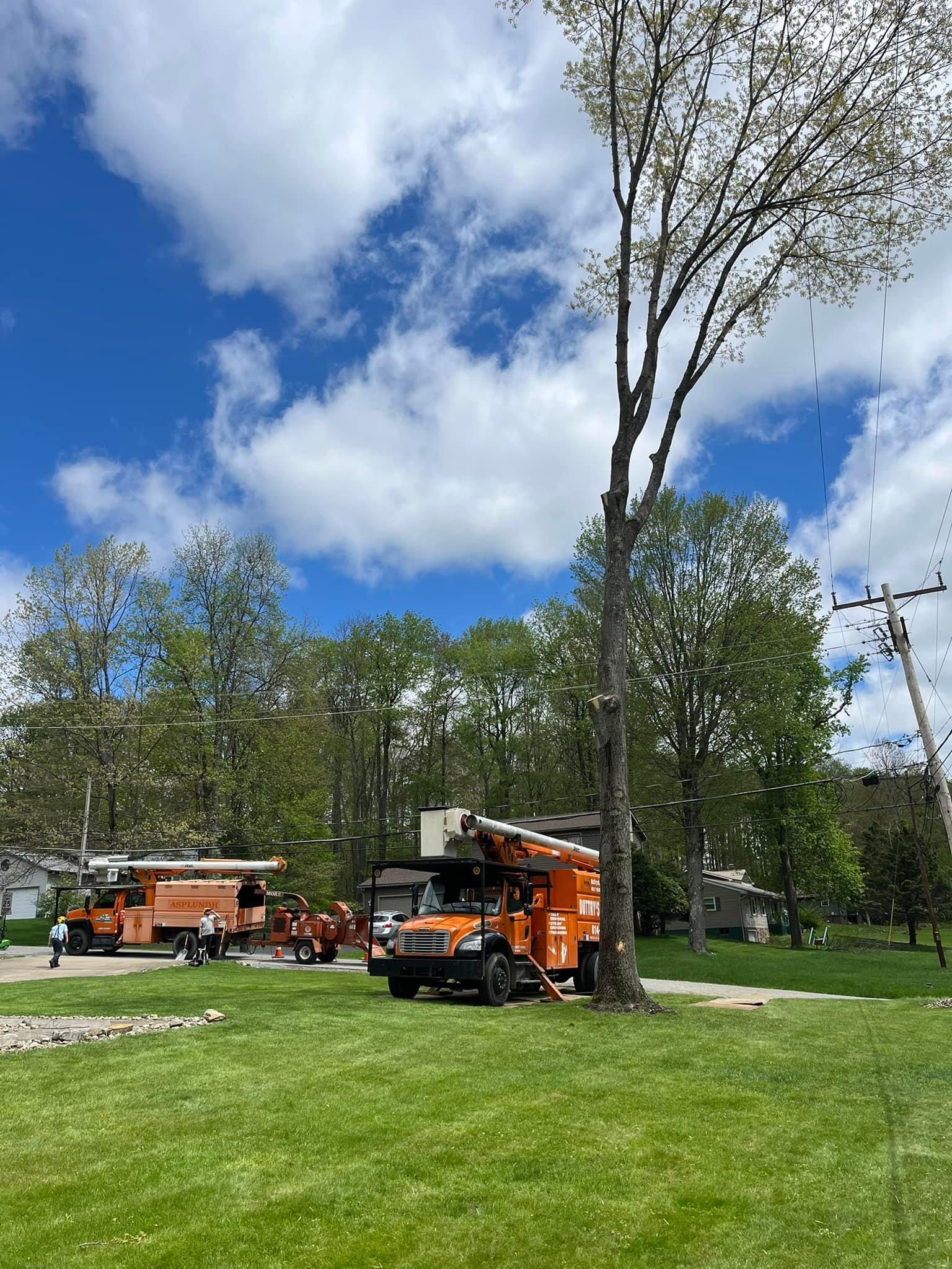  for J&E Tree & Excavation Services in Sandy, PA