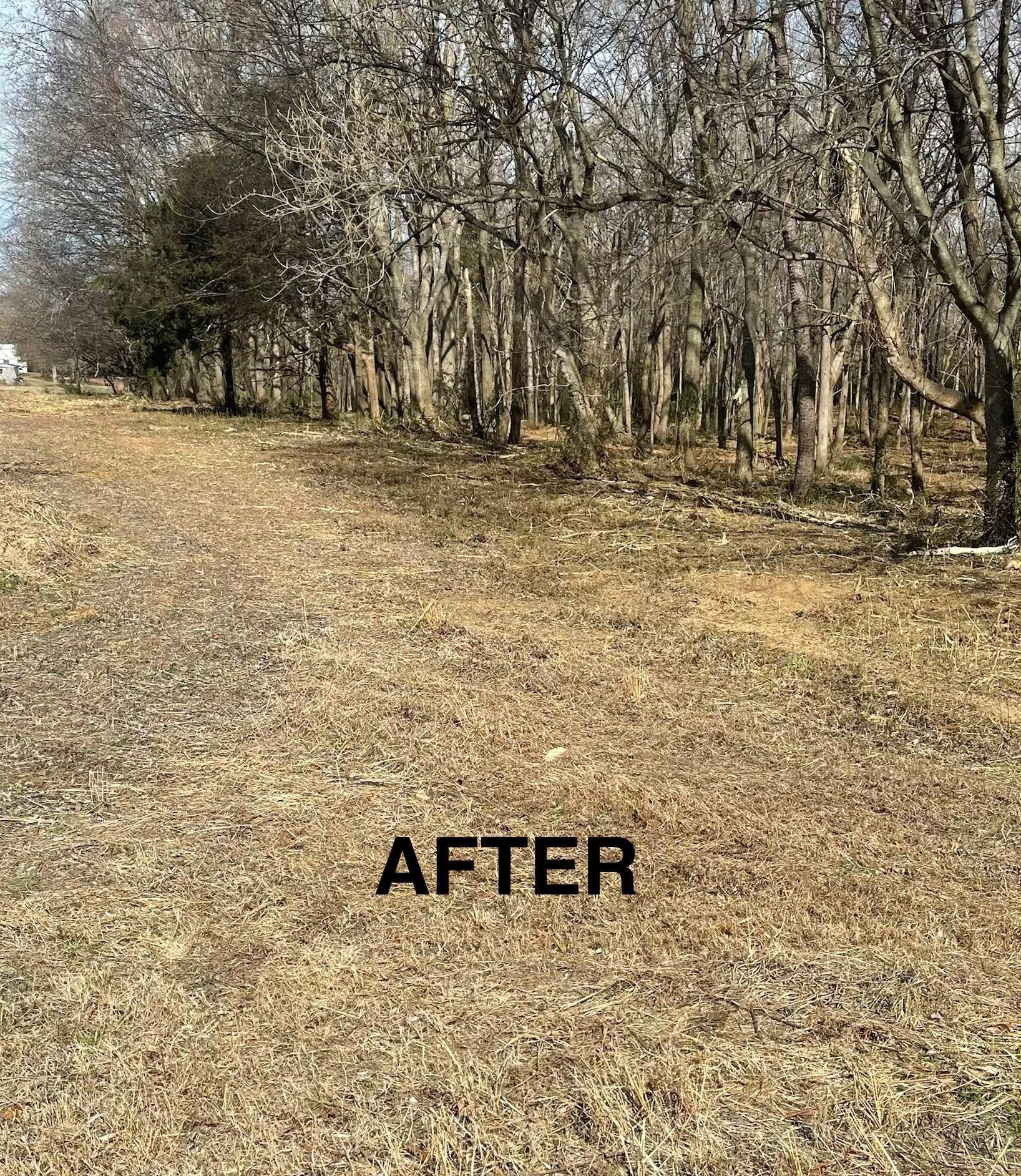  for JA Clearing  in Pageland, SC