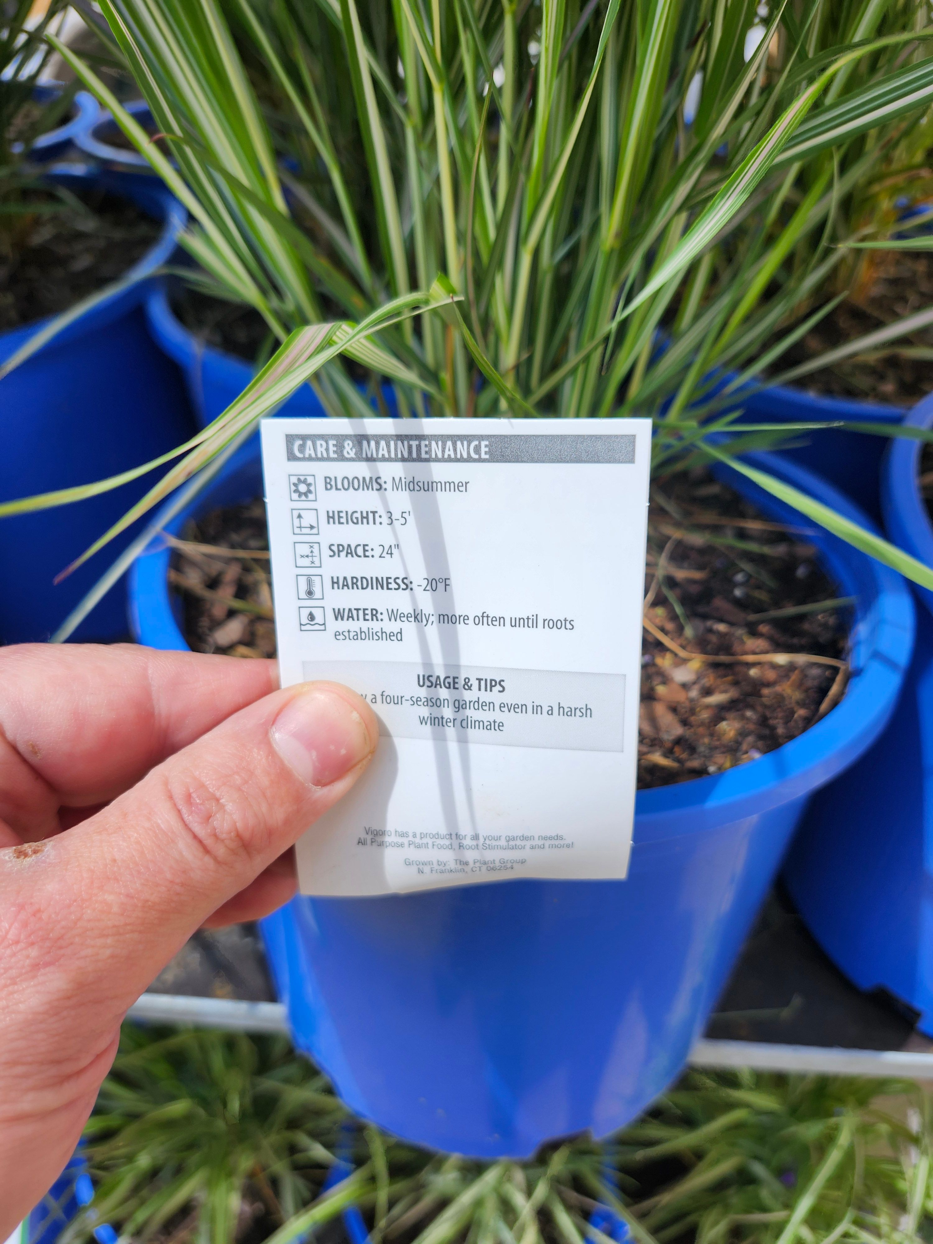 Flower & Tree Planting for Landscape Innovations LLC in Torrington, CT
