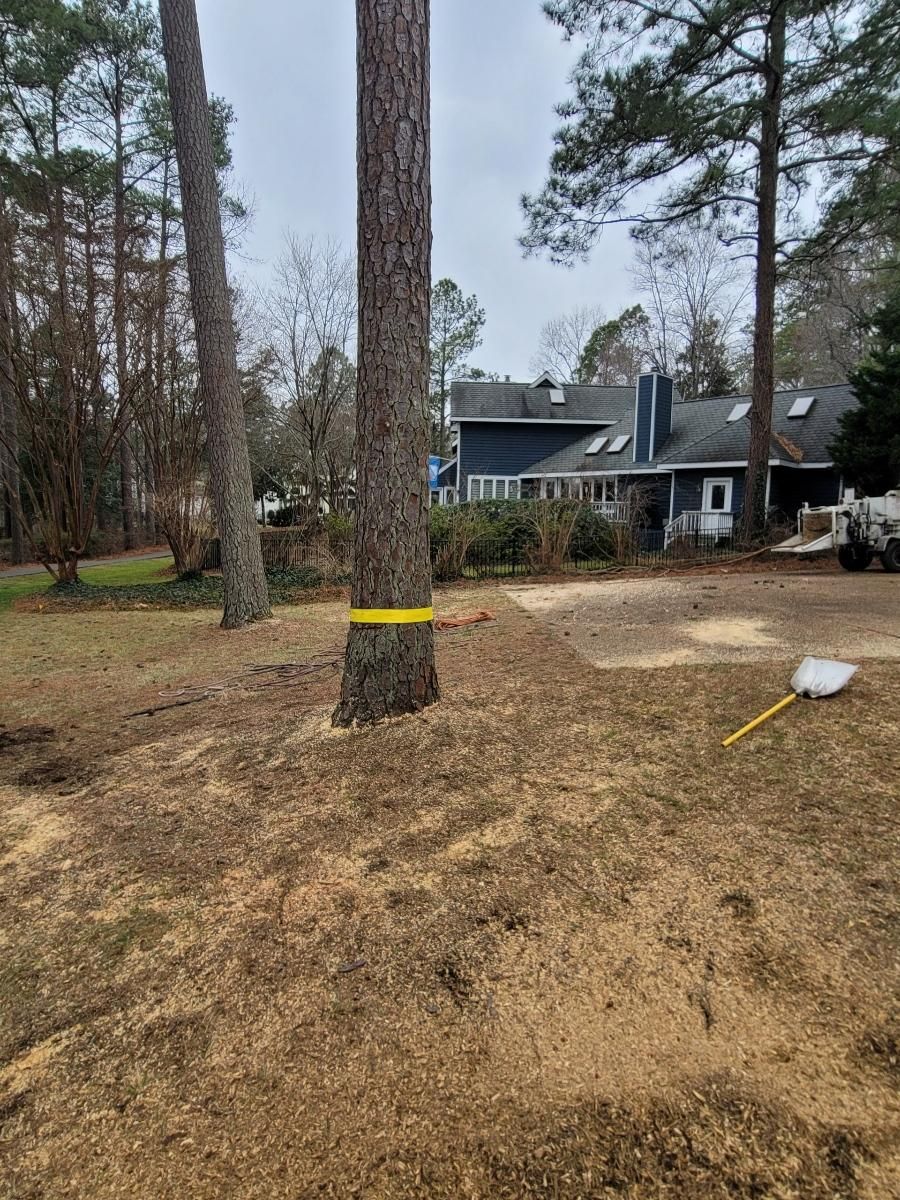  for Integrity Tree and Landscaping in Lynchburg, VA