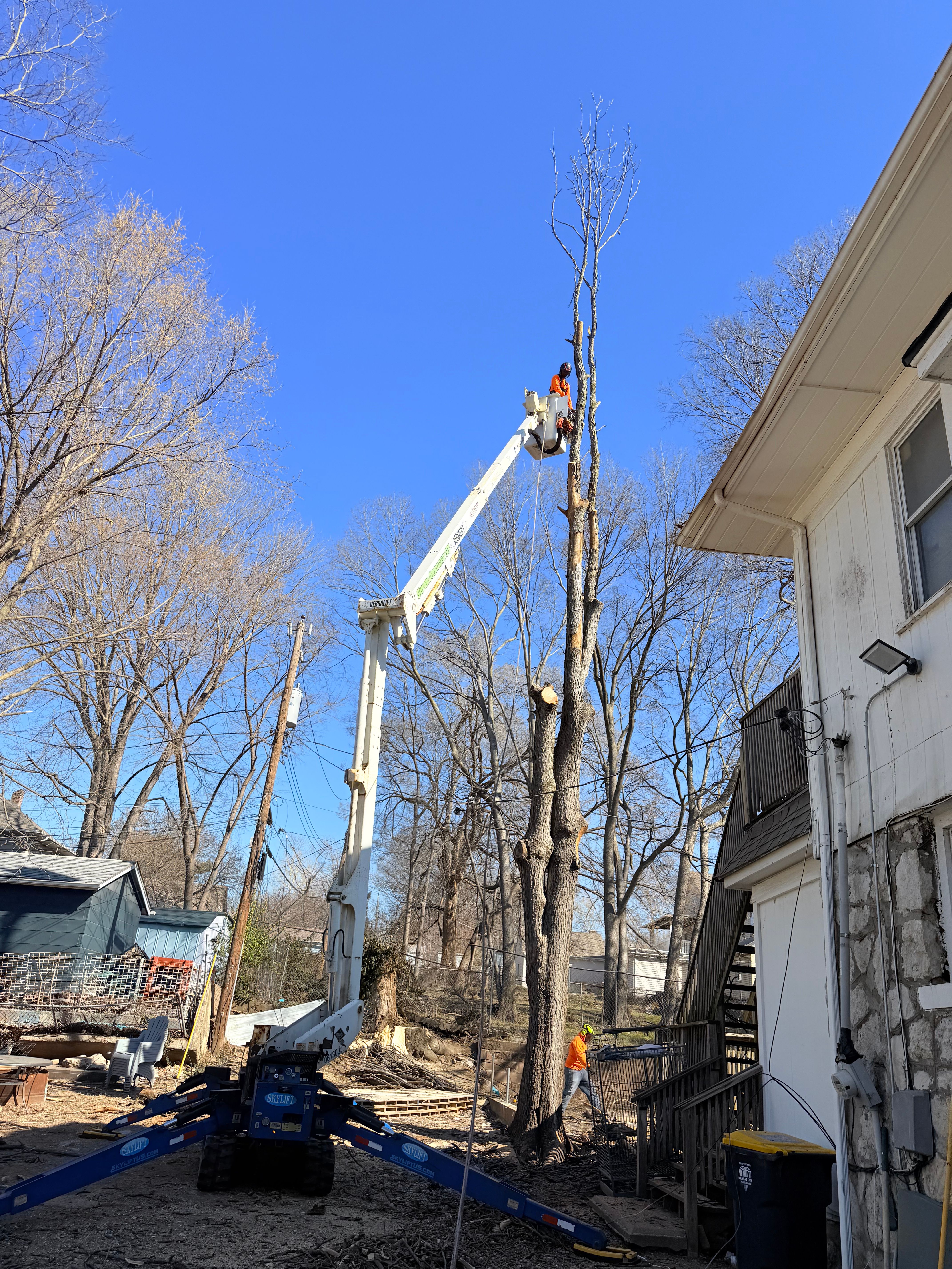 All Photos for Cross Family Tree Service in Kearney, MO
