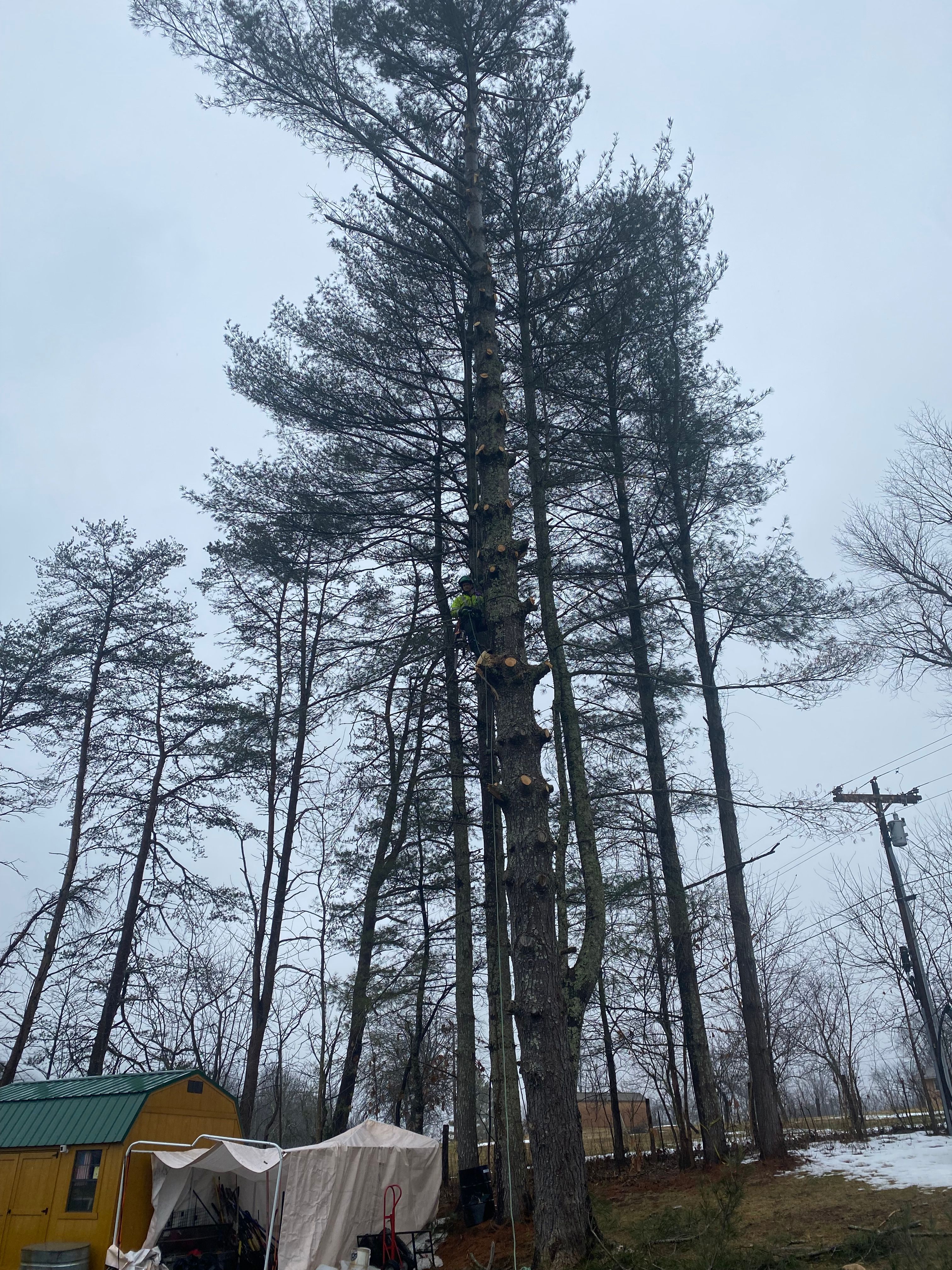 All Photos for VA Landgrowth LLC in Lexington, VA