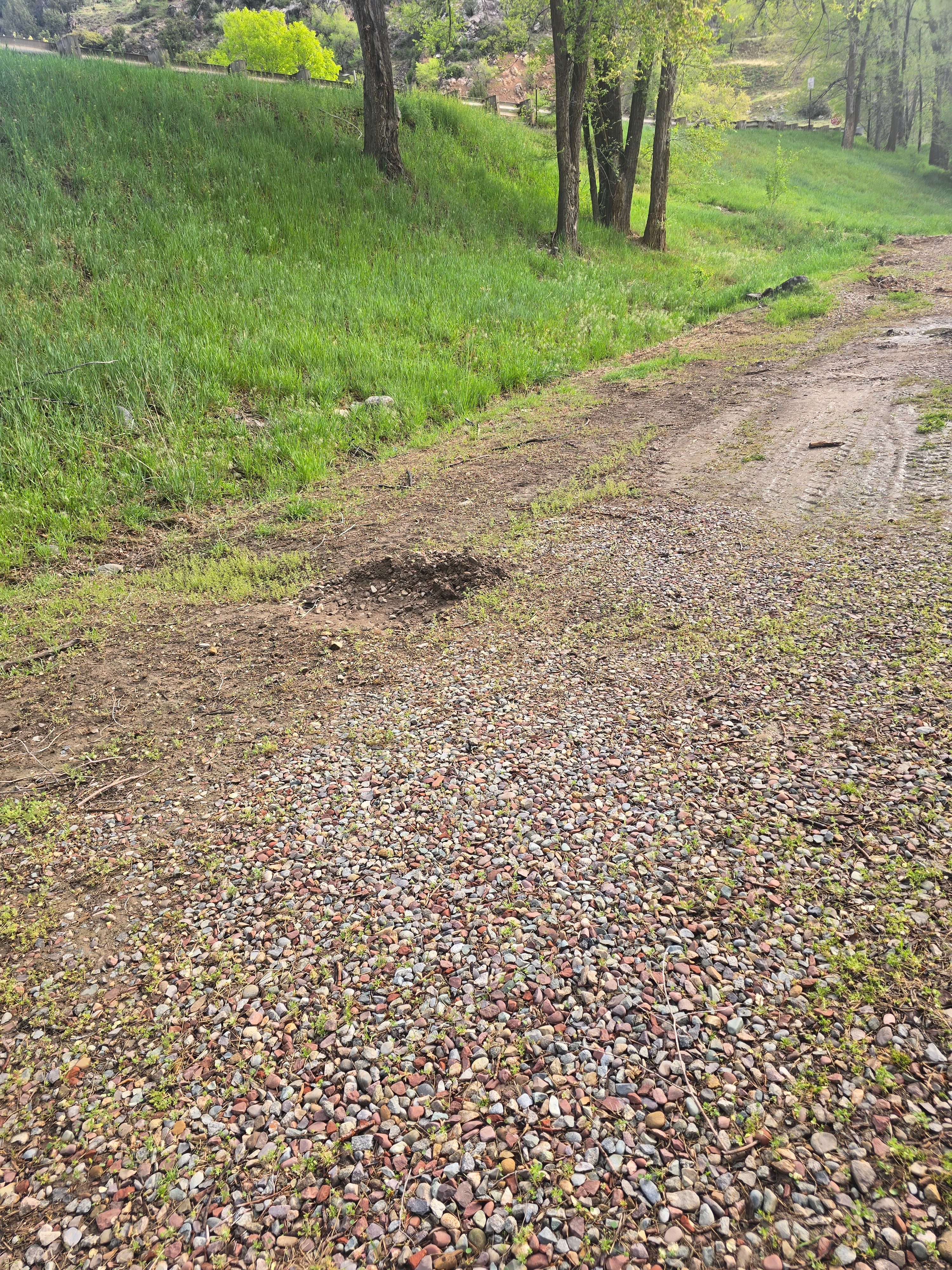 All Photos for LRS: Landscape, Rescue, Snow in Silt, CO