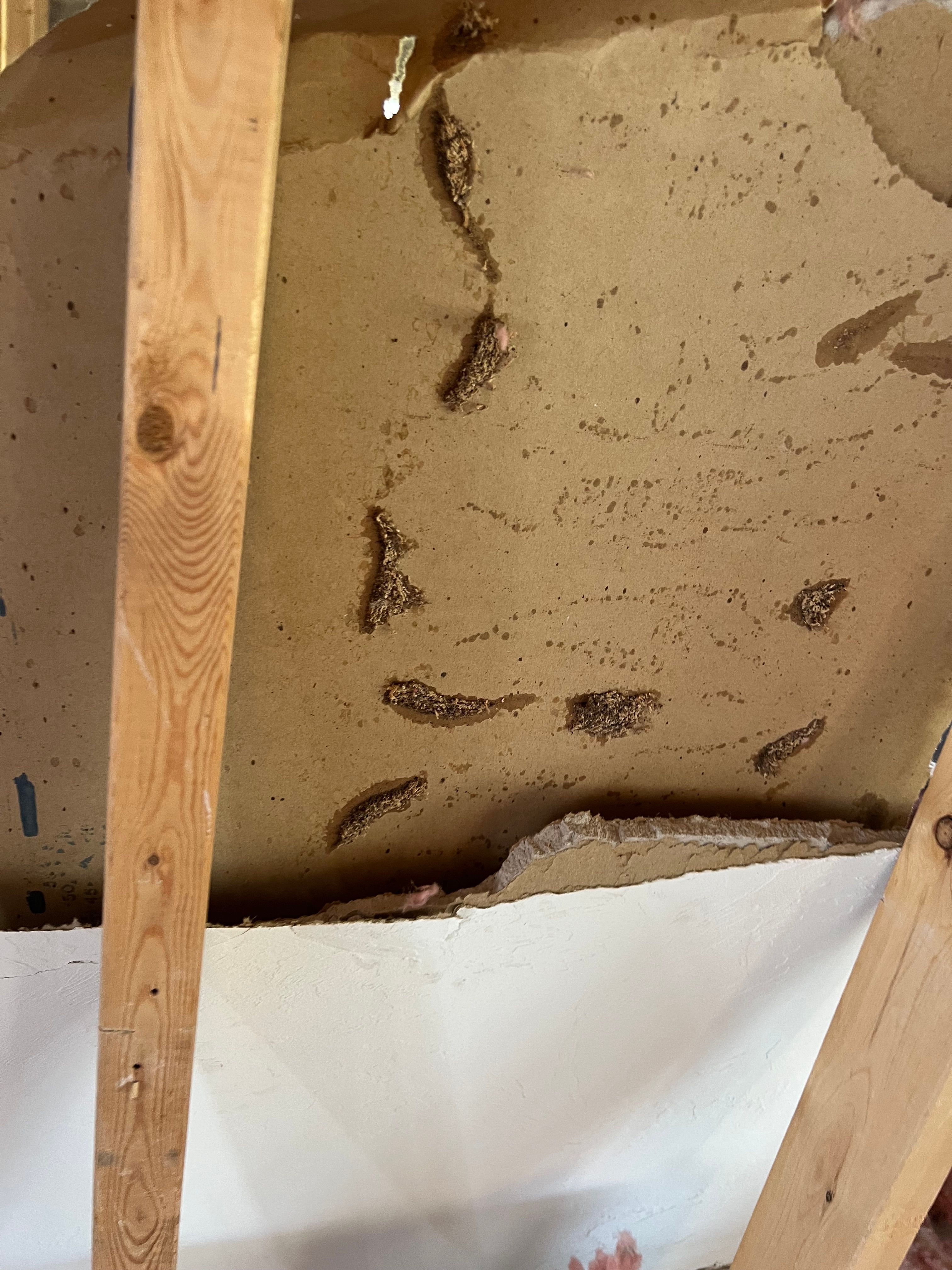  for N&D Restoration Services When Disaster Strikes, We Come In in Cape Coral,  FL