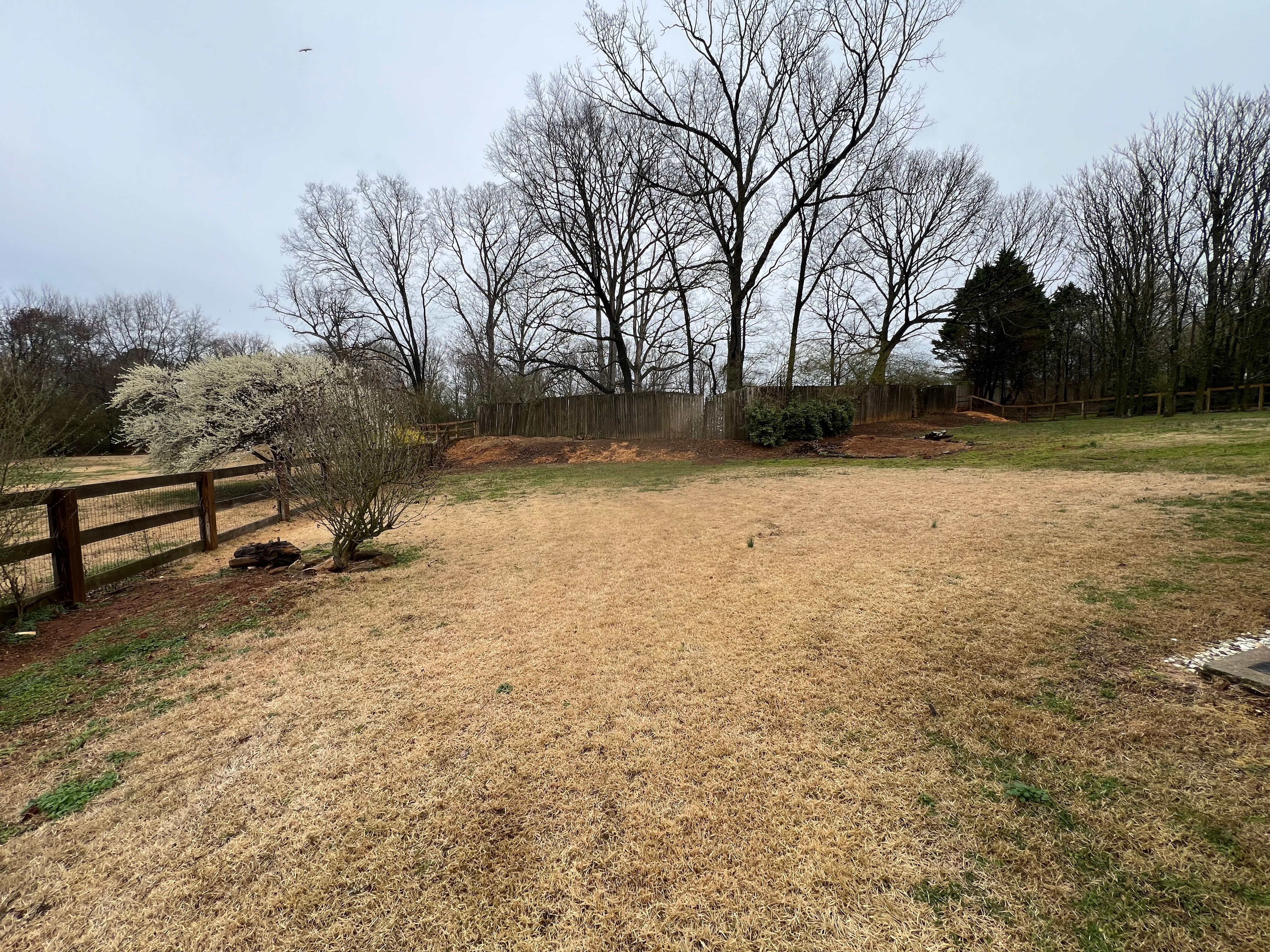 All Photos for Amerigreen Lawn & Landscape in Duluth, GA