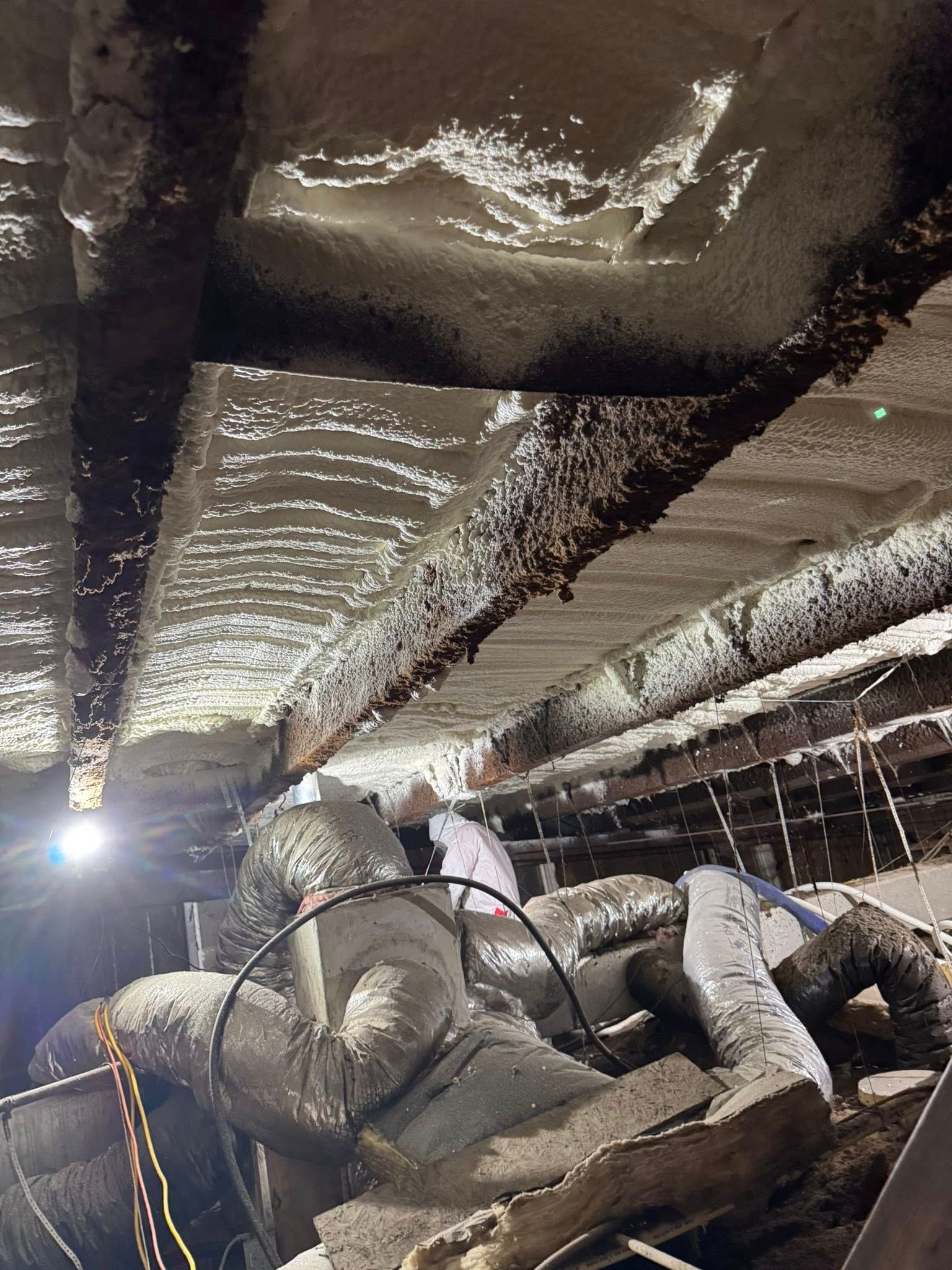  for TECC Roofing & Renovations in Harris County, TX