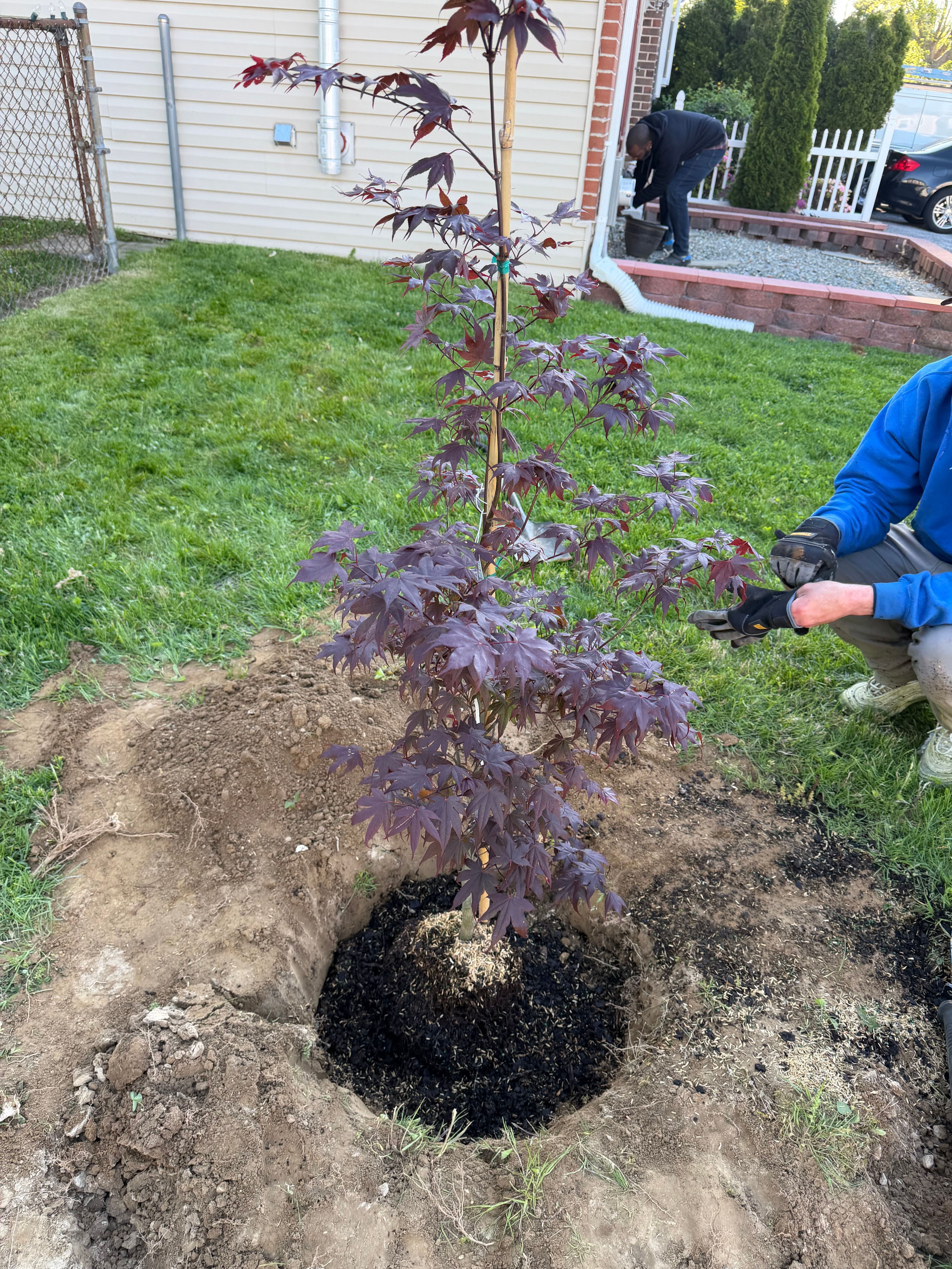 Landscaping  for TAS Lawn Care LLC in Wilmington, DE