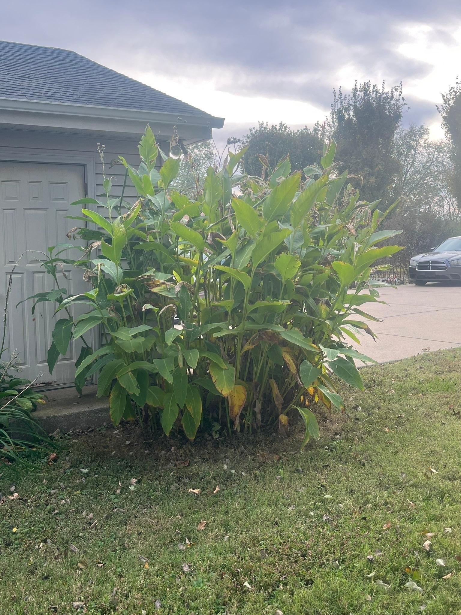 All Photos for Small Town HandyMen in Cross Plains, TN