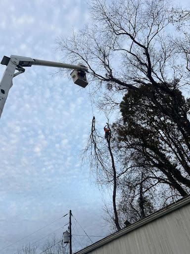  for Ground To Sky Tree Care in Asheville, North Carolina