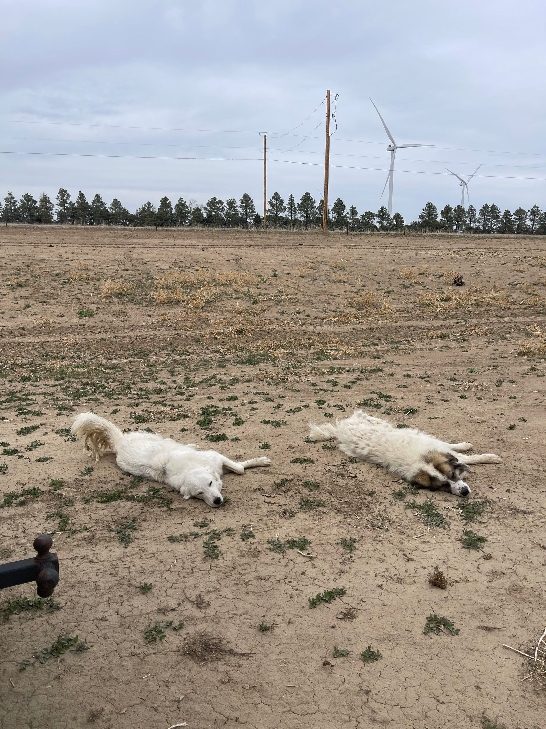 All Photos for Mr. Pipe Dreams LLC in Colorado Springs, CO