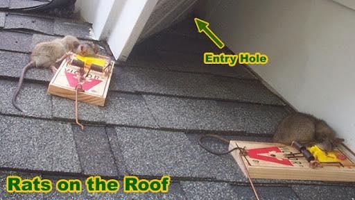  for Propertifix Handyman & Renovation Services in Lancaster, TX