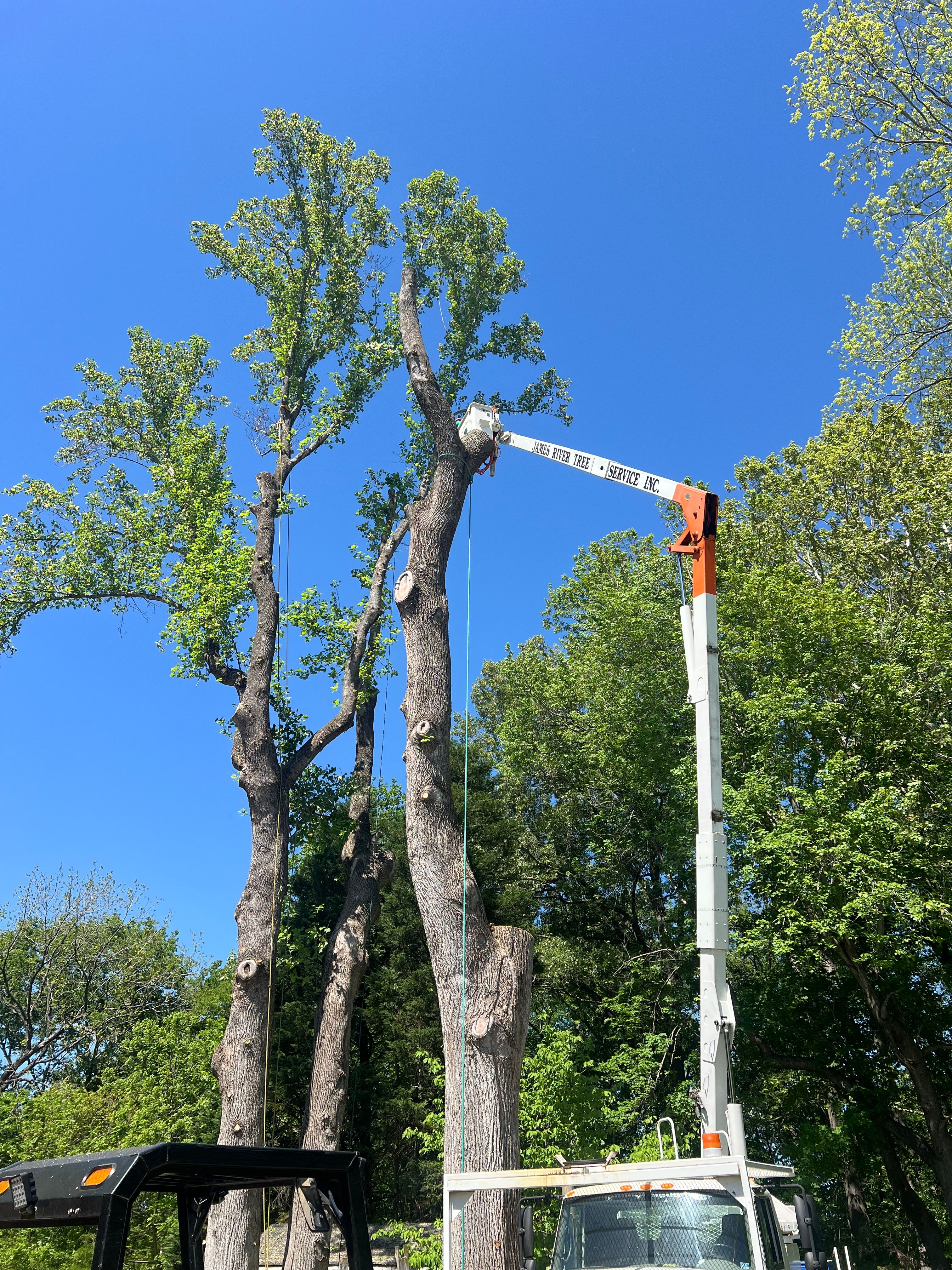  for James River Tree Service in Suffolk, VA