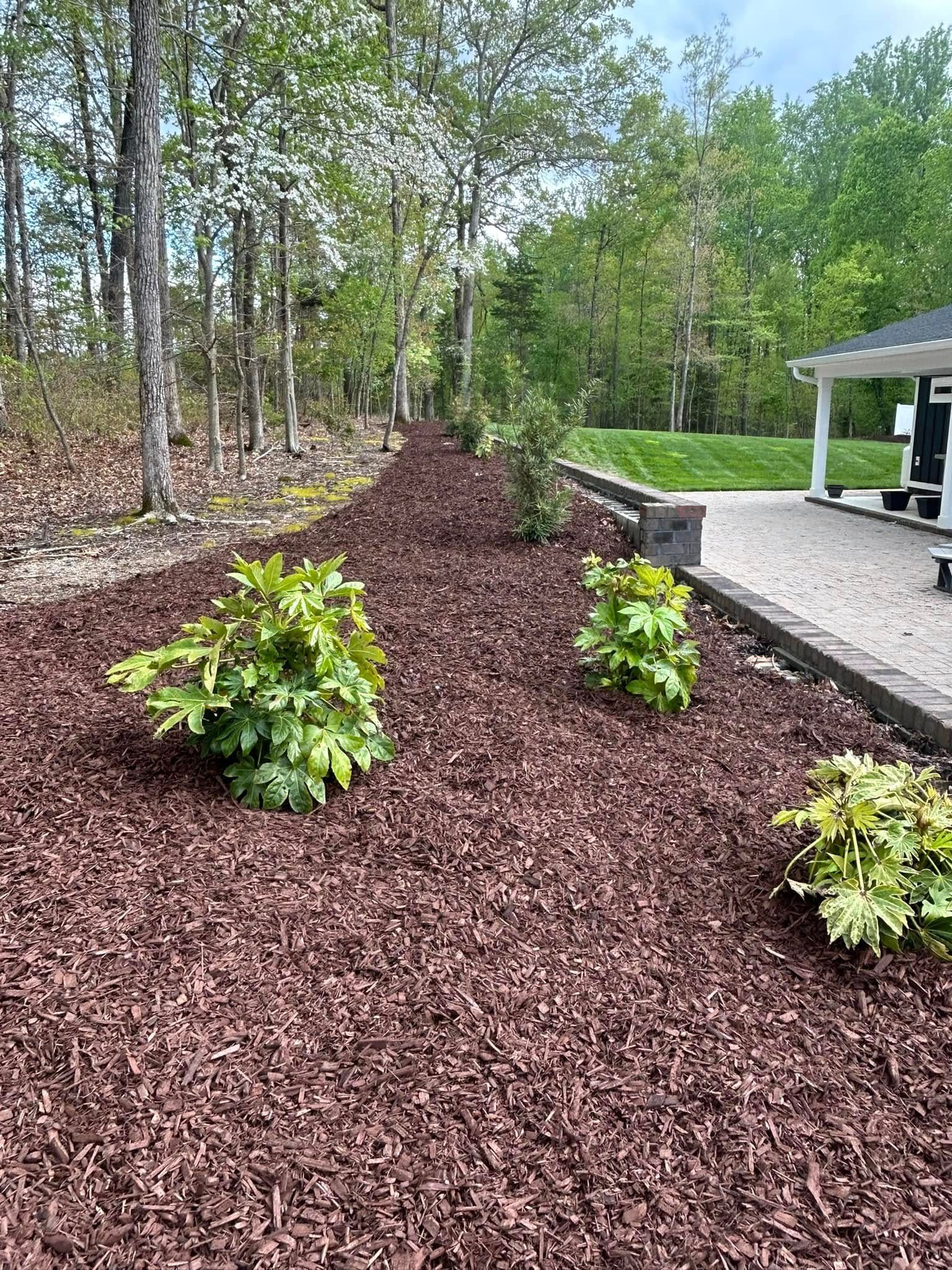 Landscaping for JMLP Lawn & Landscaping in Charlotte, NC