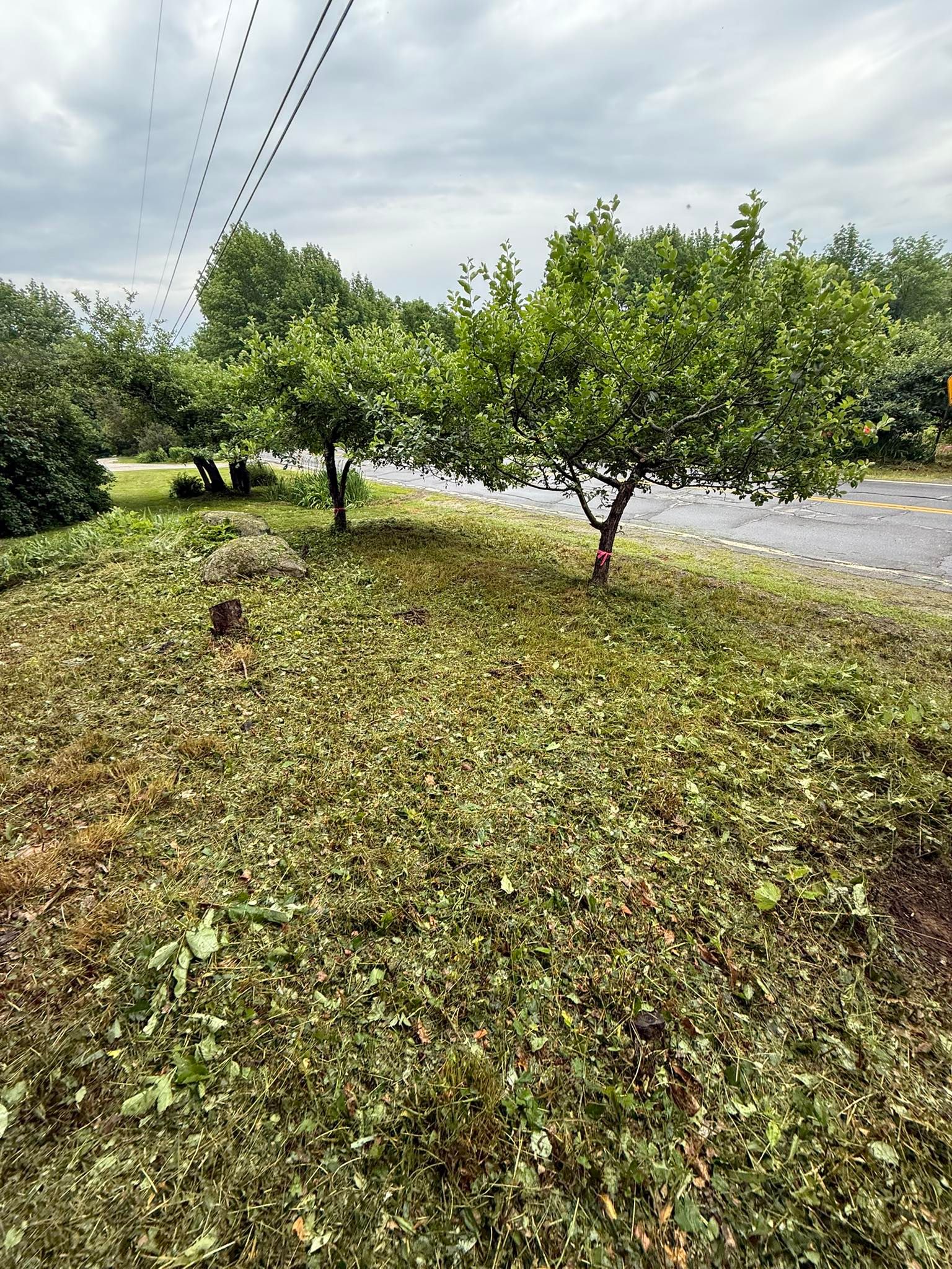  for CWB Lawn Care & Landscaping in Franklin County, ME