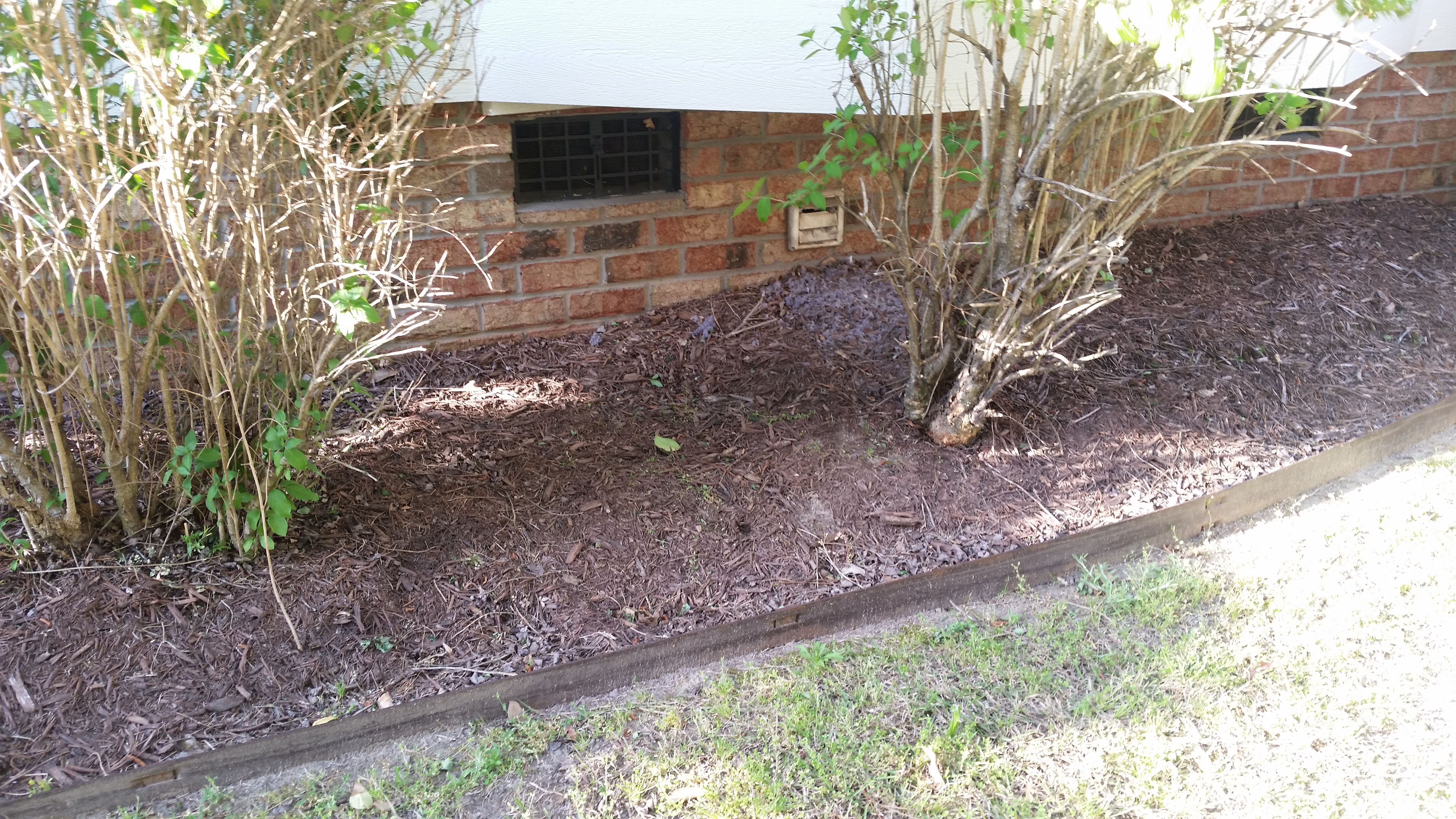  for Mancinas Home Improvement, Landscaping, & Lawn Care in Fayetteville, NC