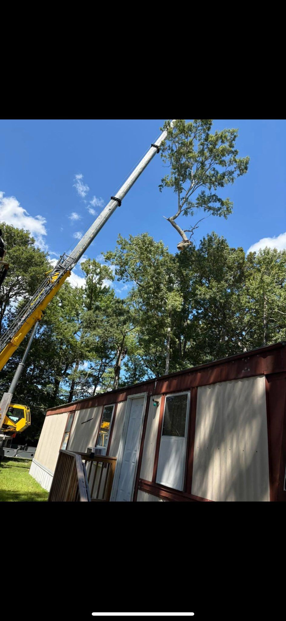  for Tidewater Tree Service in Chesapeake, VA