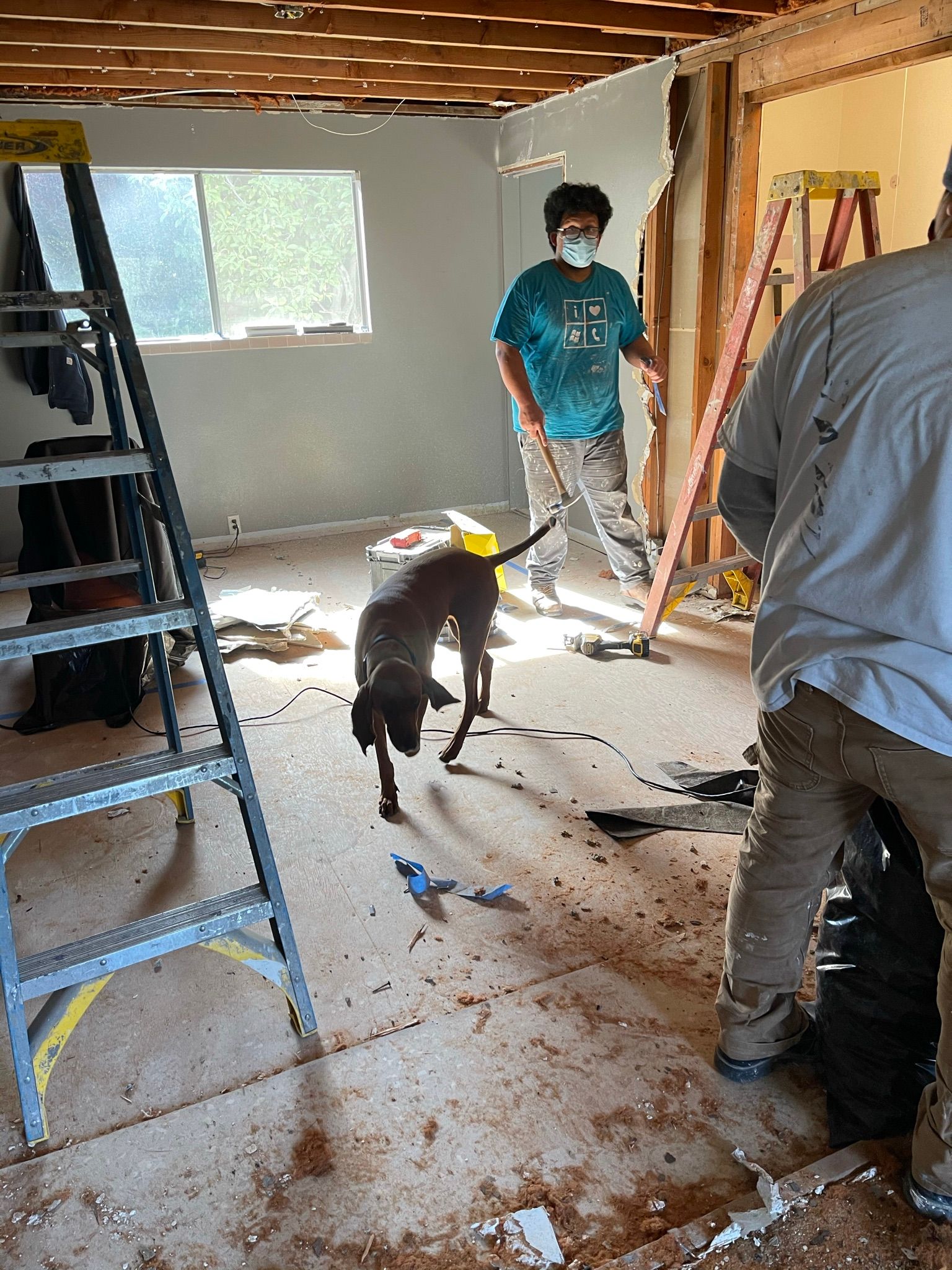  for Tony's Remodeling & Painting in Renton, WA