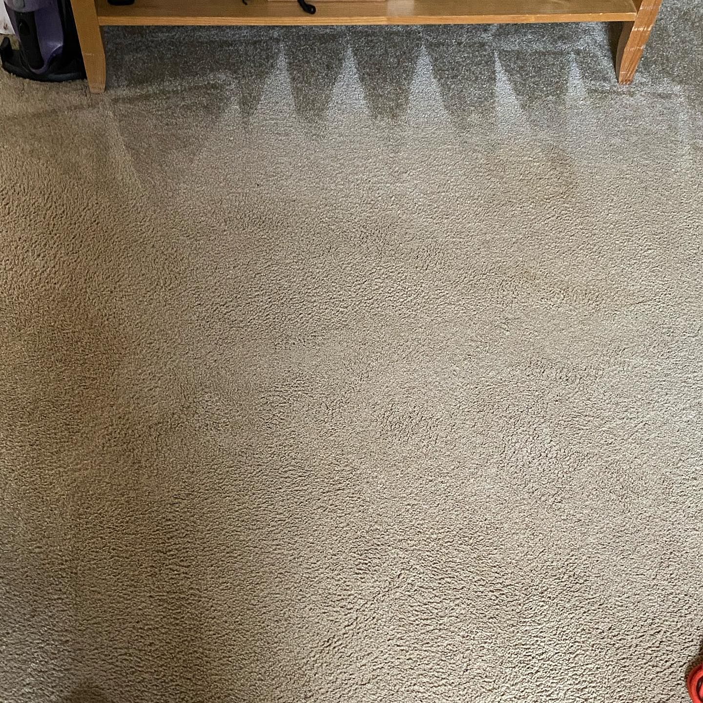  for Cleaning Carolina’s LLC in Greensboro, NC