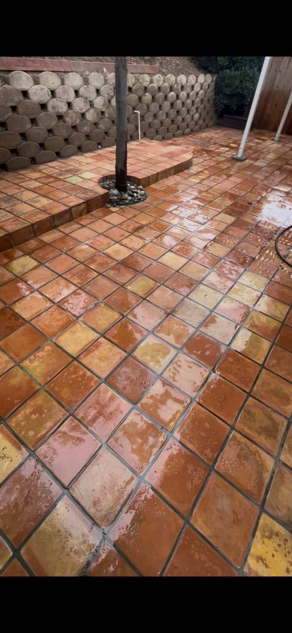 Our Work for Amazing View Services in San Diego, CA