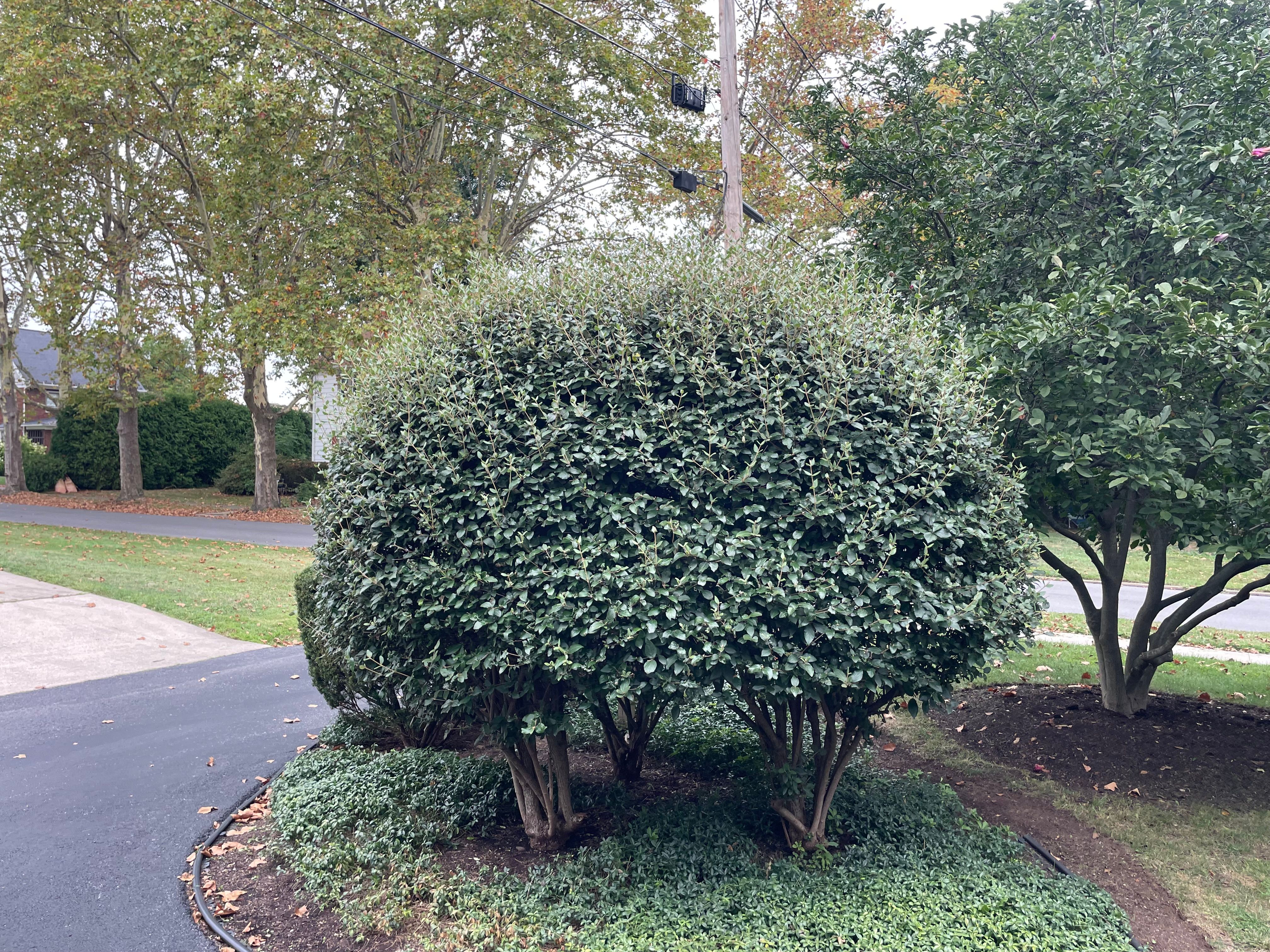  for Bryant Property Solutions in Altoona, PA