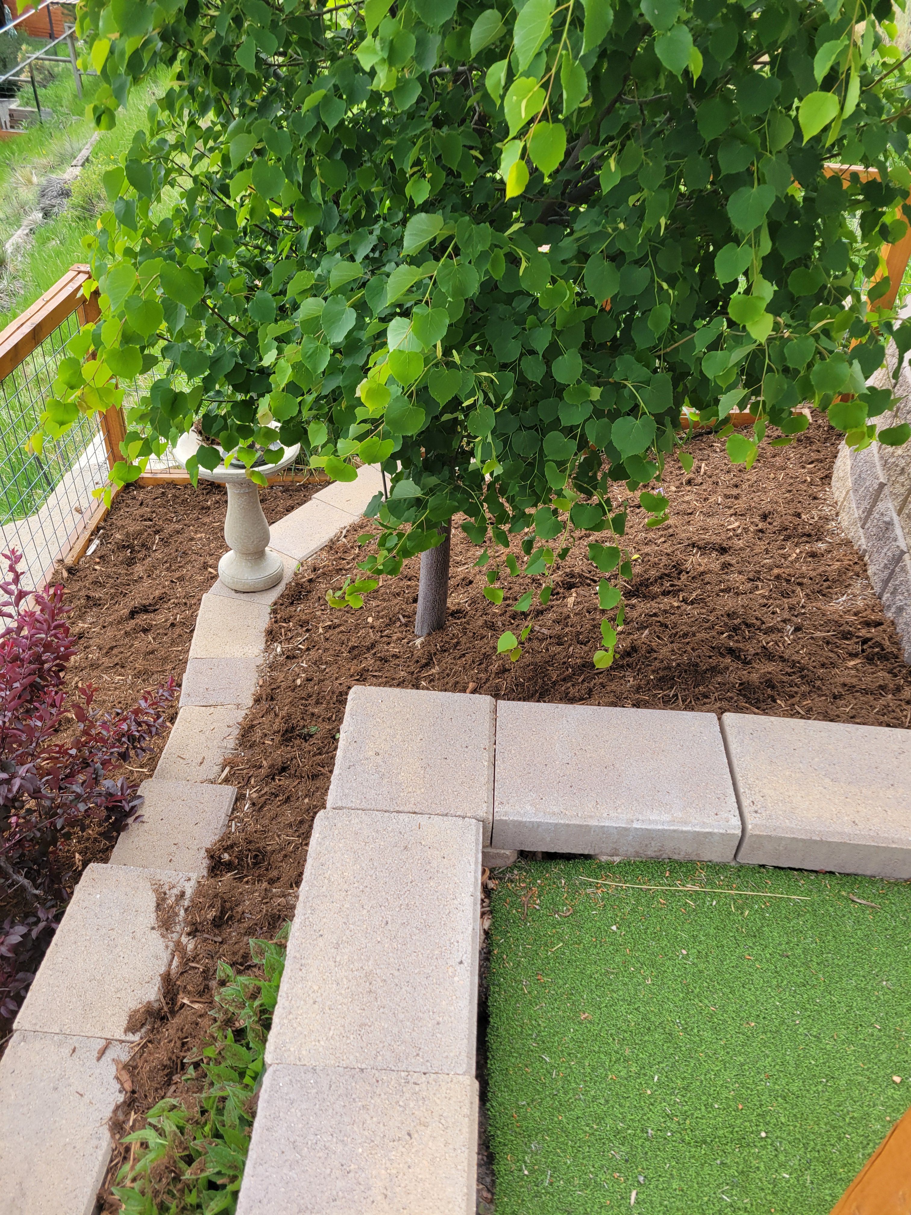  for JS Landscaping Colorado in Denver, CO