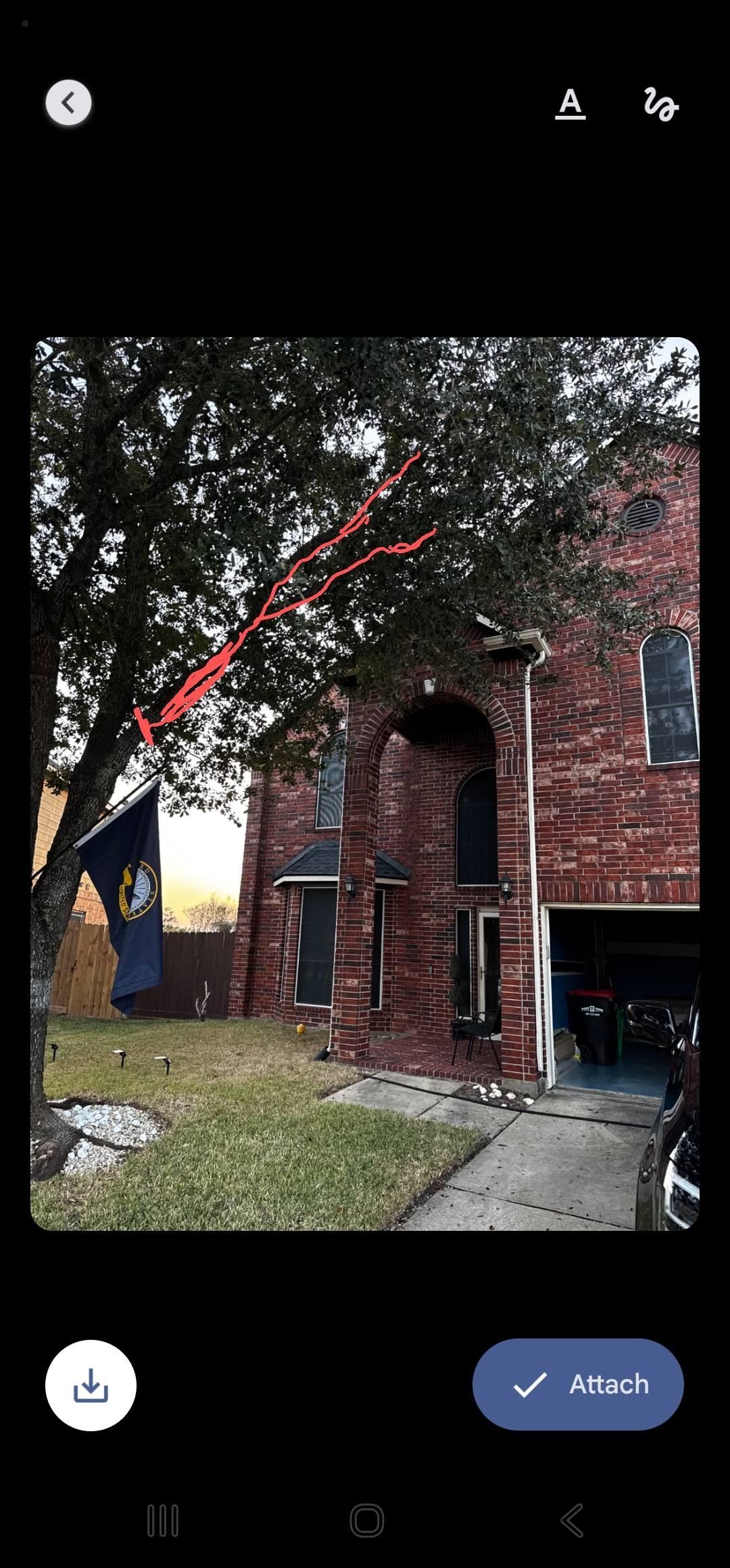  for Servin's Tree Care  in Houston, TX