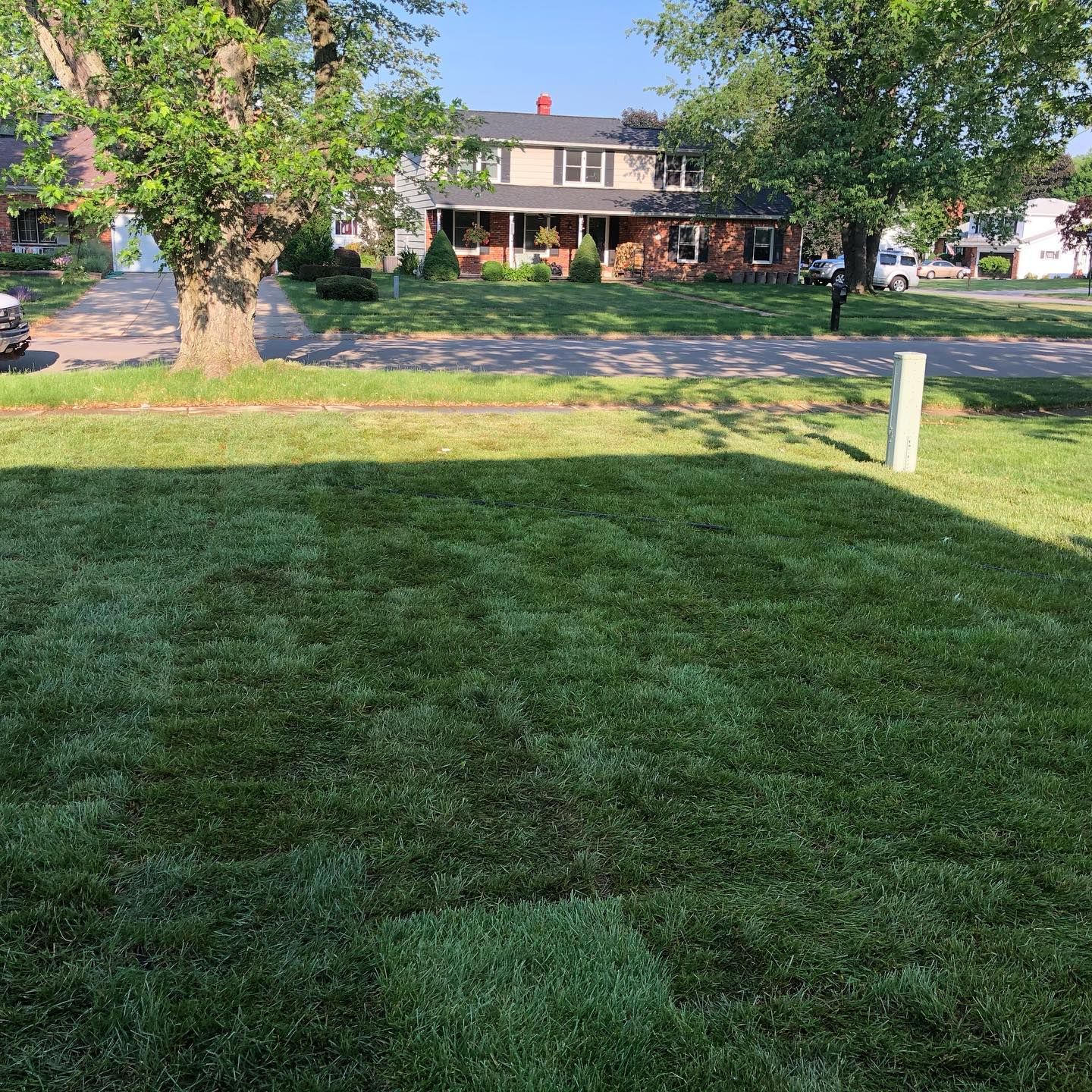 Lawn Care for Hauser's Complete Care INC in Depew, NY