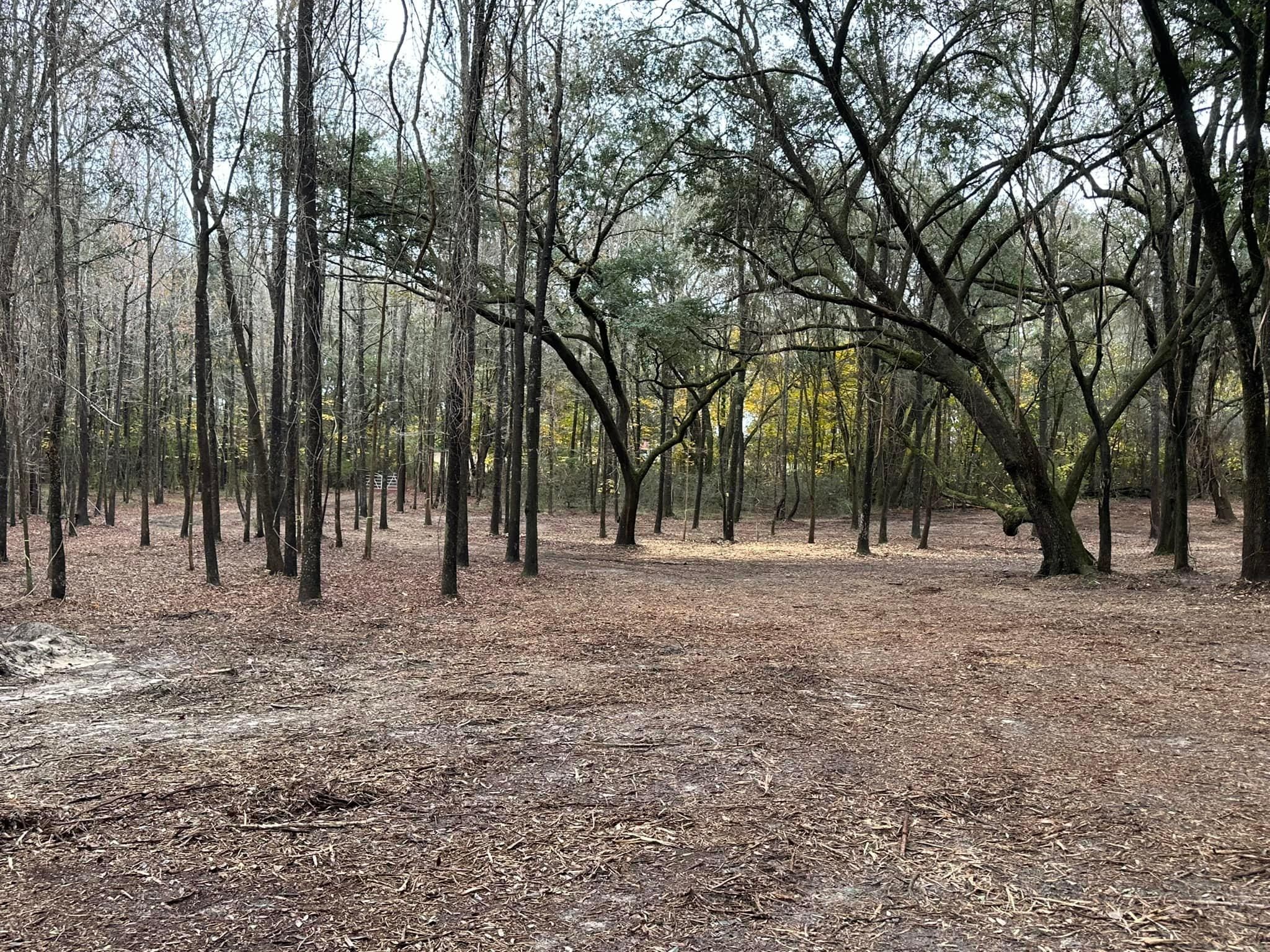 All Photos for White’s Land Maintenance in Milton,, FL