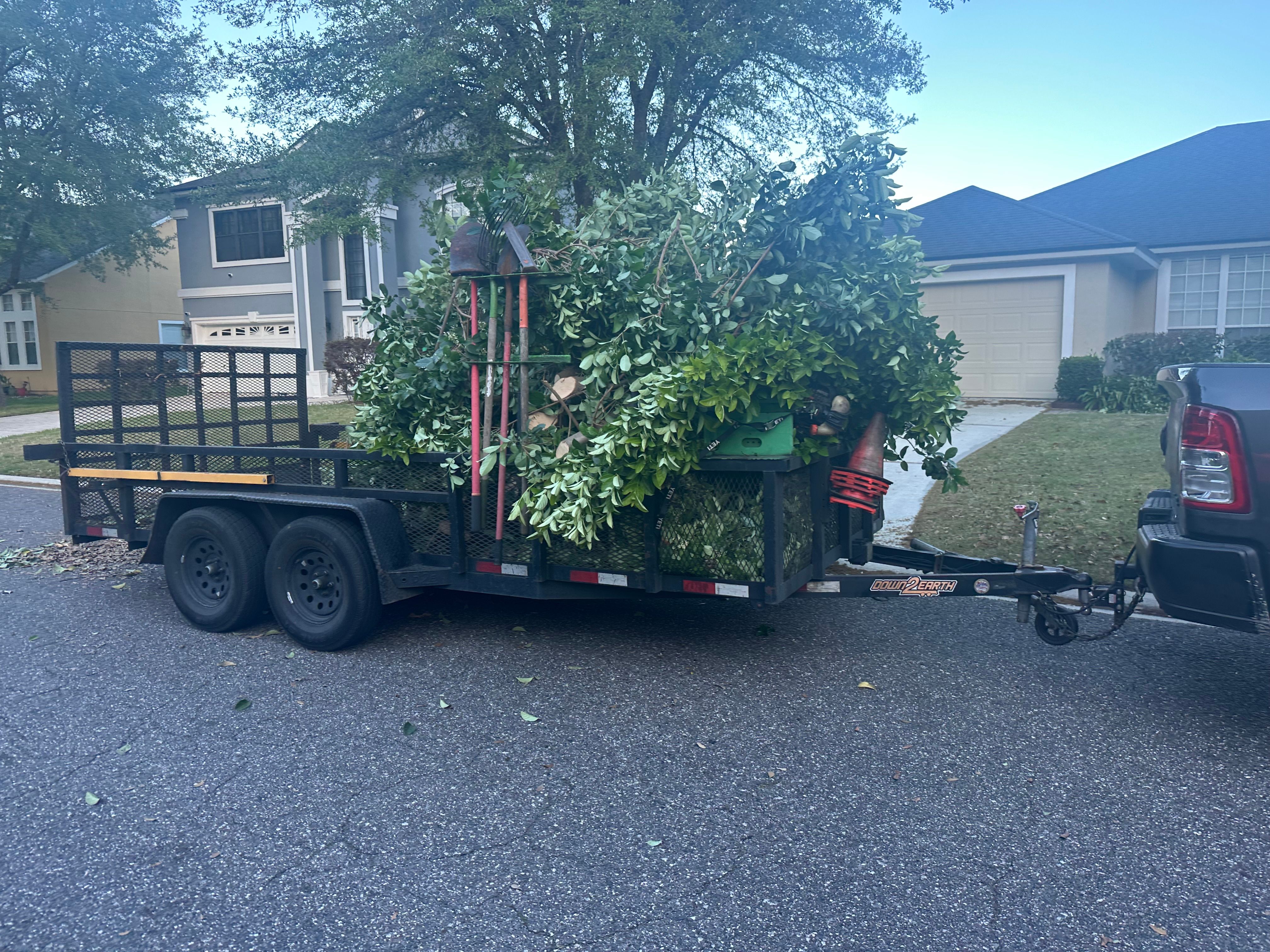 All Photos for All of the Above Landscaping in Orange Park, FL