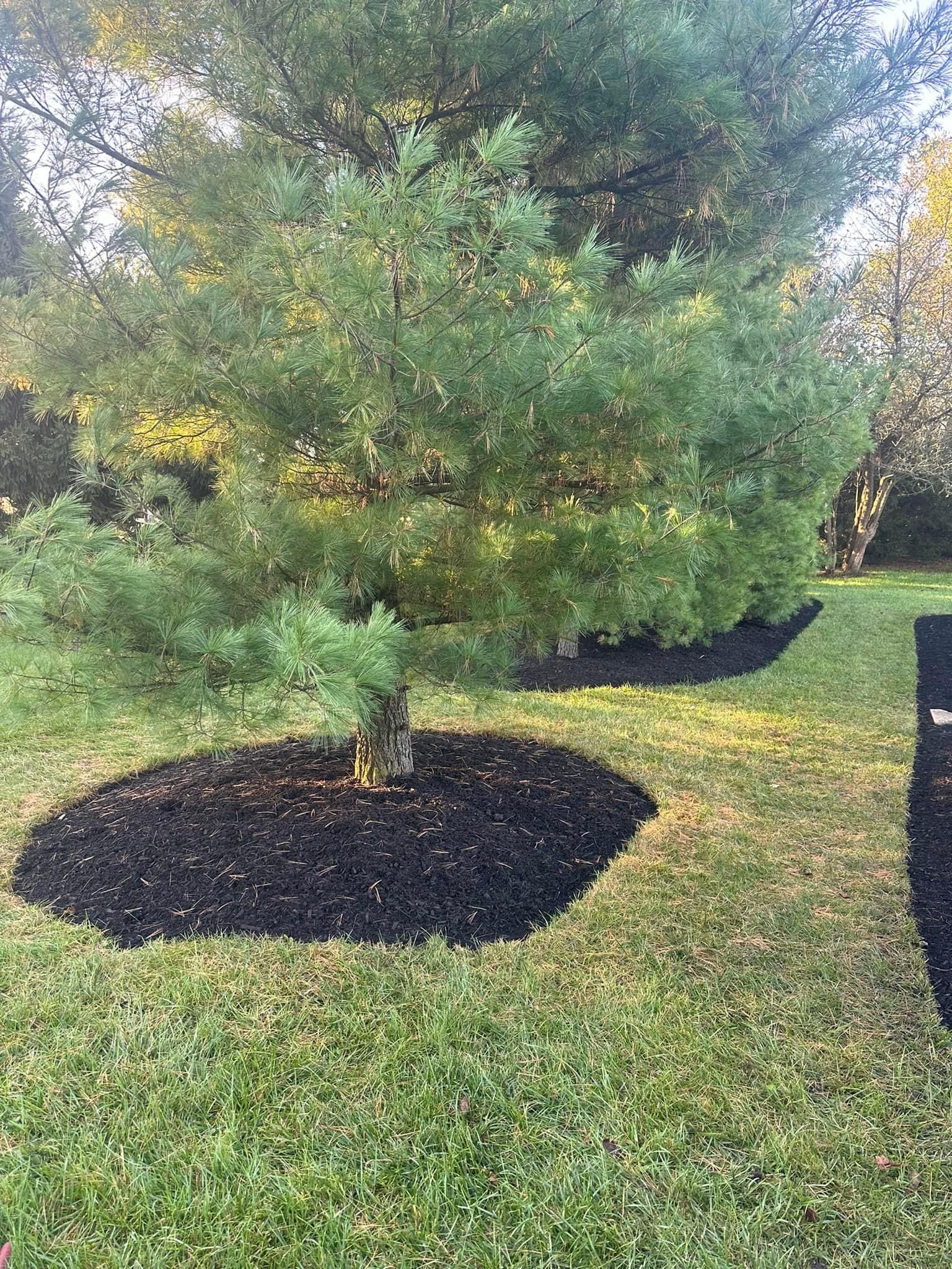  for OT Lawn and Landscaping LLC in Carey, OH