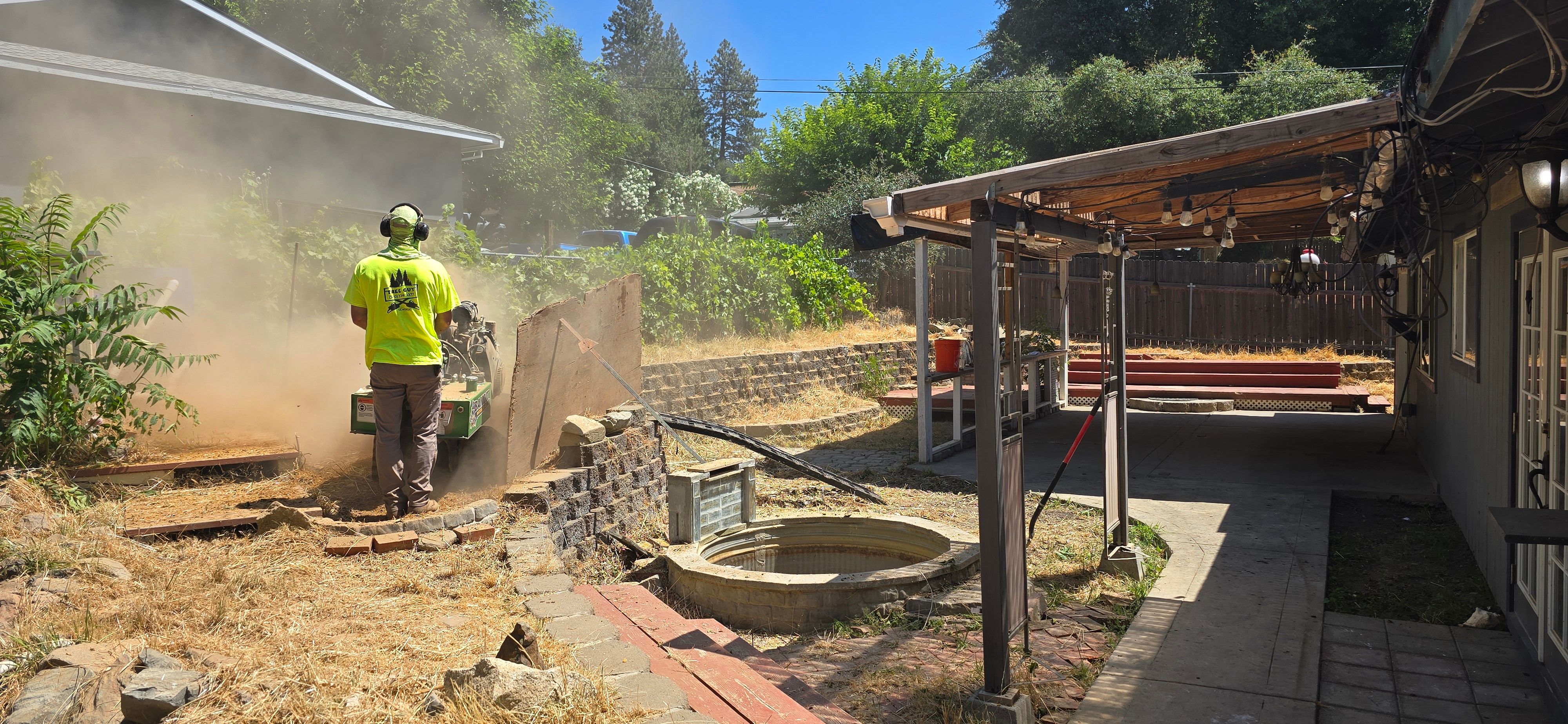  for George Staddan's Professional Tree Care in Placerville, CA