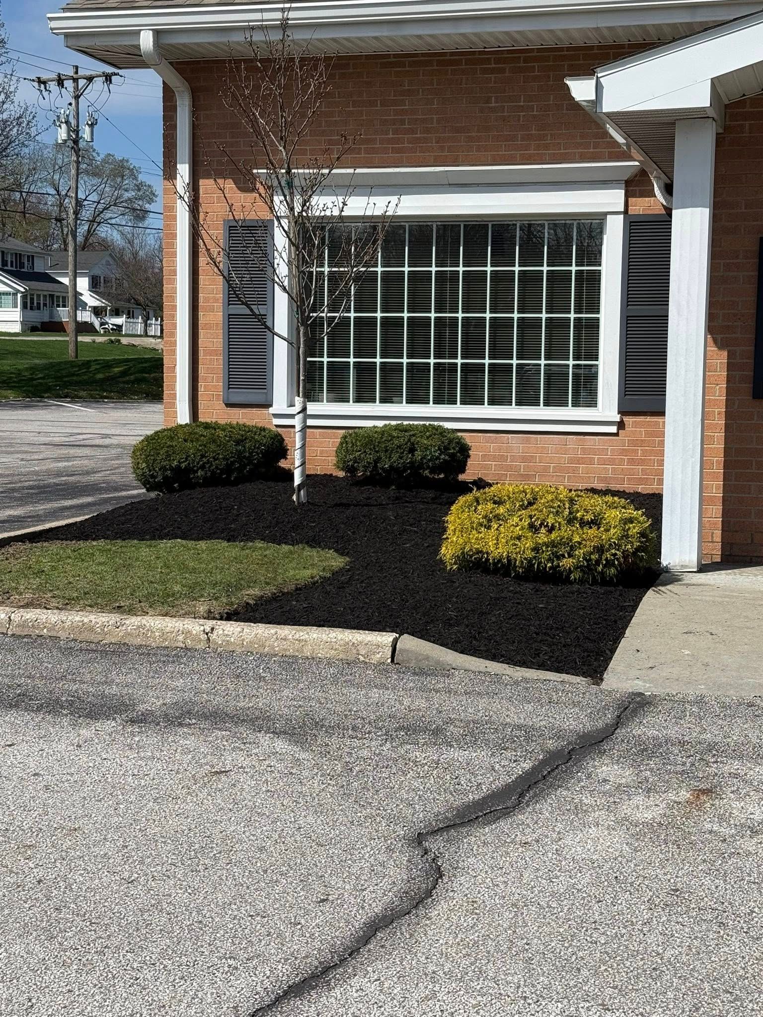  for Next Level Outdoor Services in Akron, OH