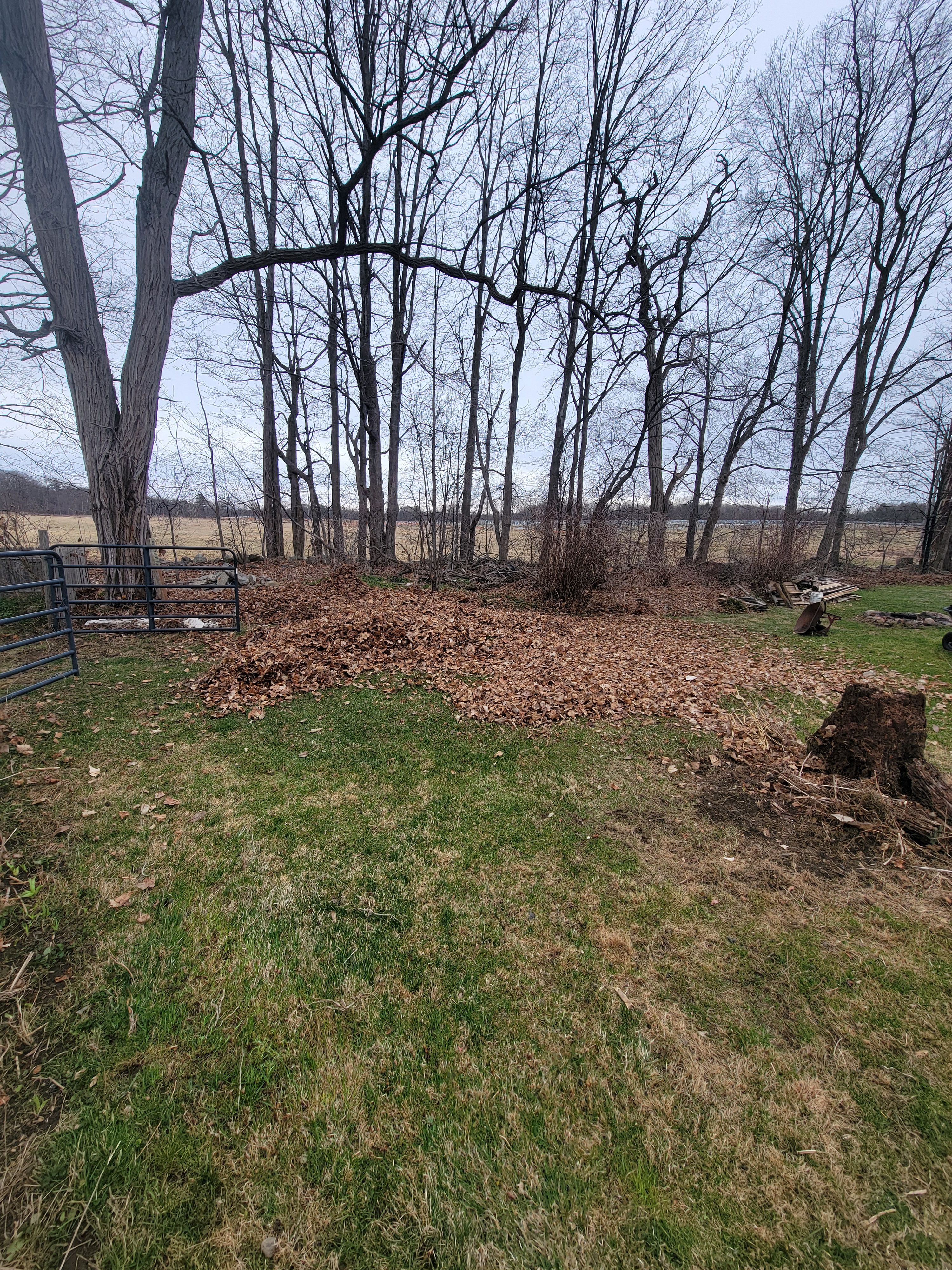  for Sweet Scapes in Ballston Spa, NY