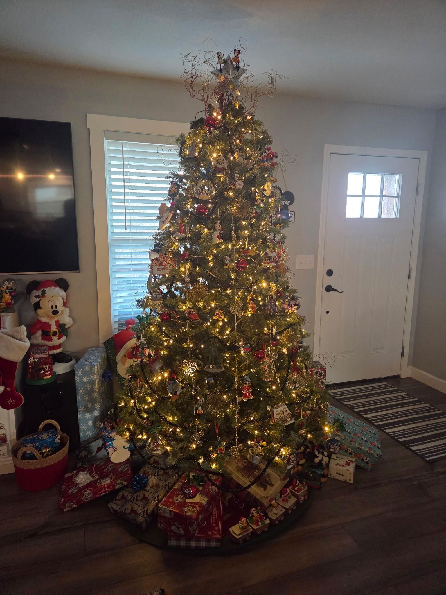  for Lafollette Mulch, Stone and Lawn Care in La Follette, TN