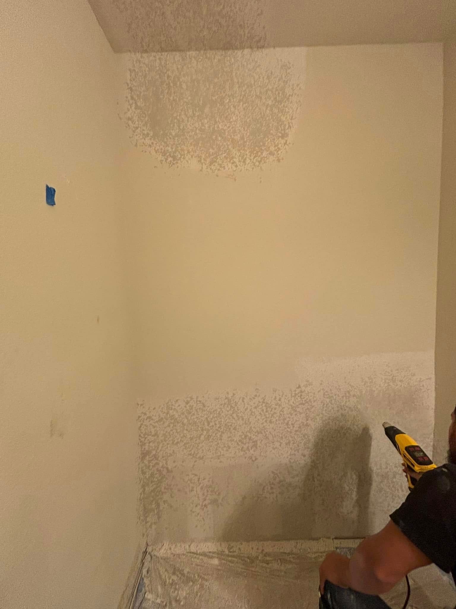  for Texas Steady Drywall and Paint in Austin, TX