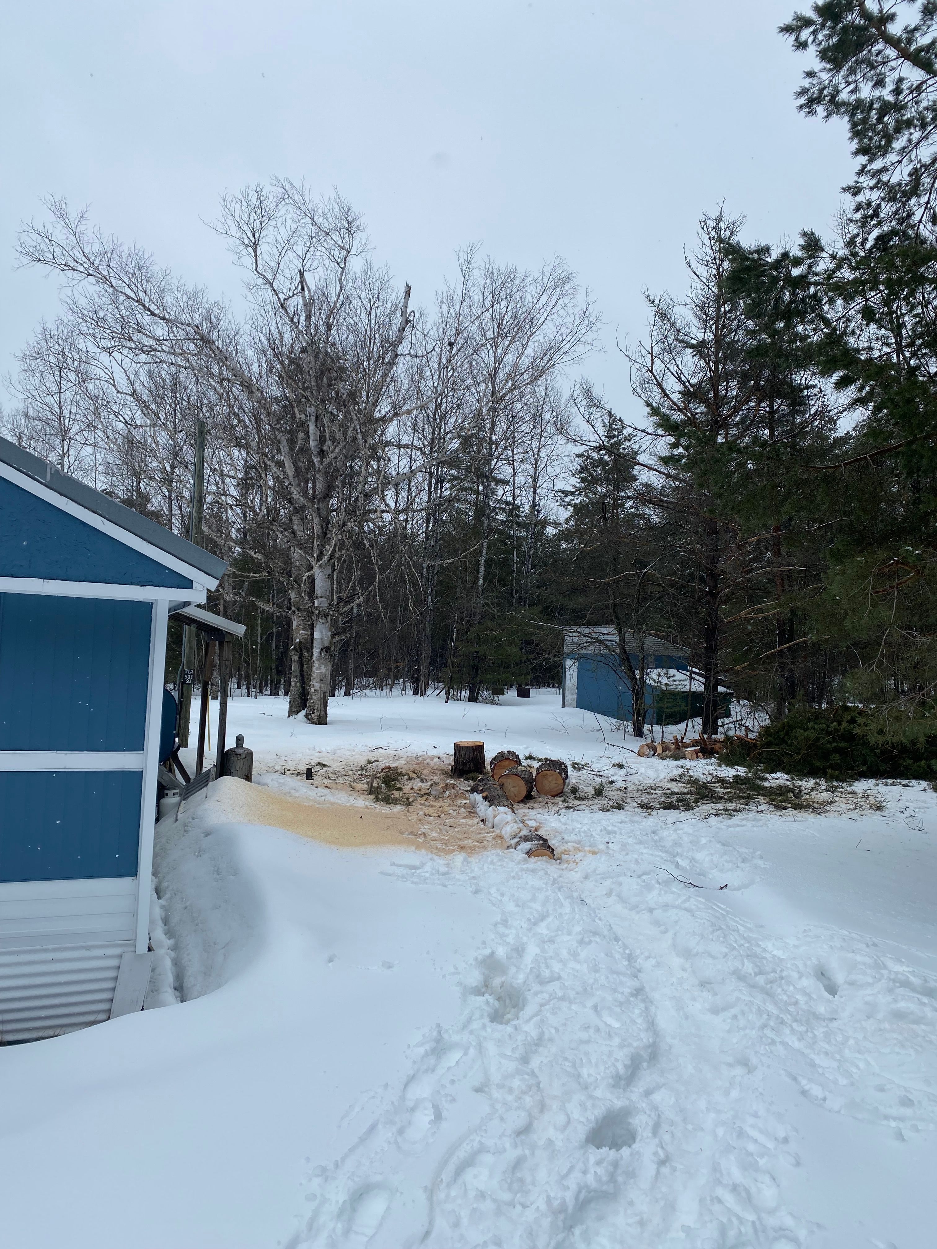 Tree Removal for Bear Creek Tree Service LLC in Rudyard, MI