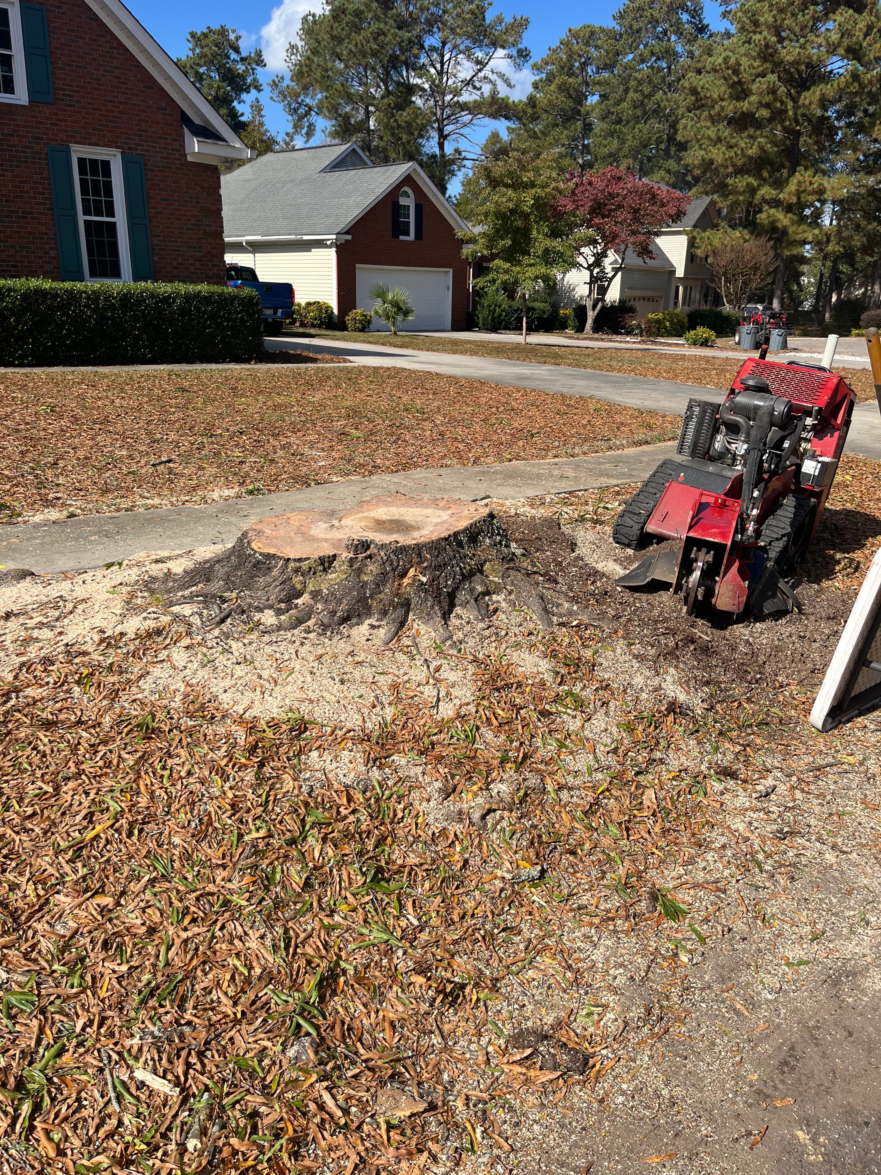 Stump Grinding for Otis Lee Stump Grinding LLC in Elgin, SC