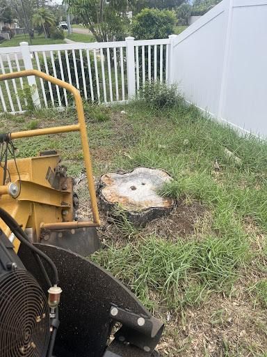  for KB’s Stump Removal in Seminole, FL