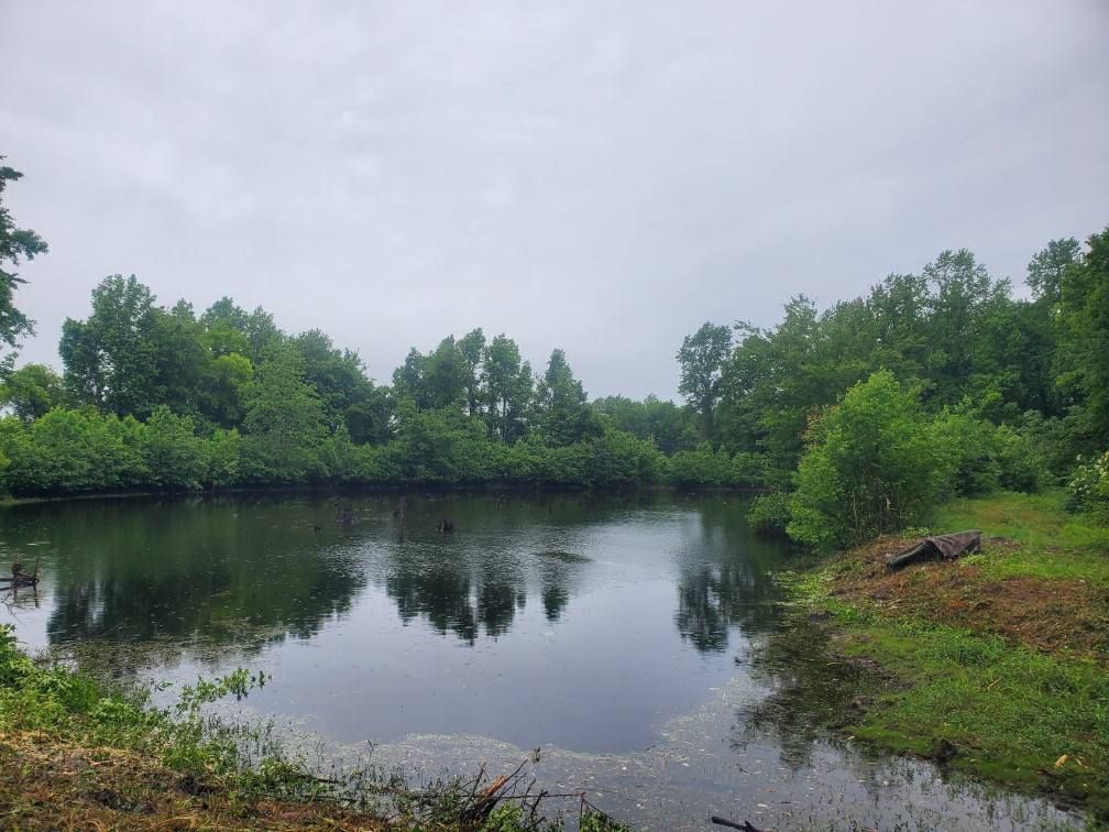 All Photos for TJ Farm and Land Management in Loris, SC