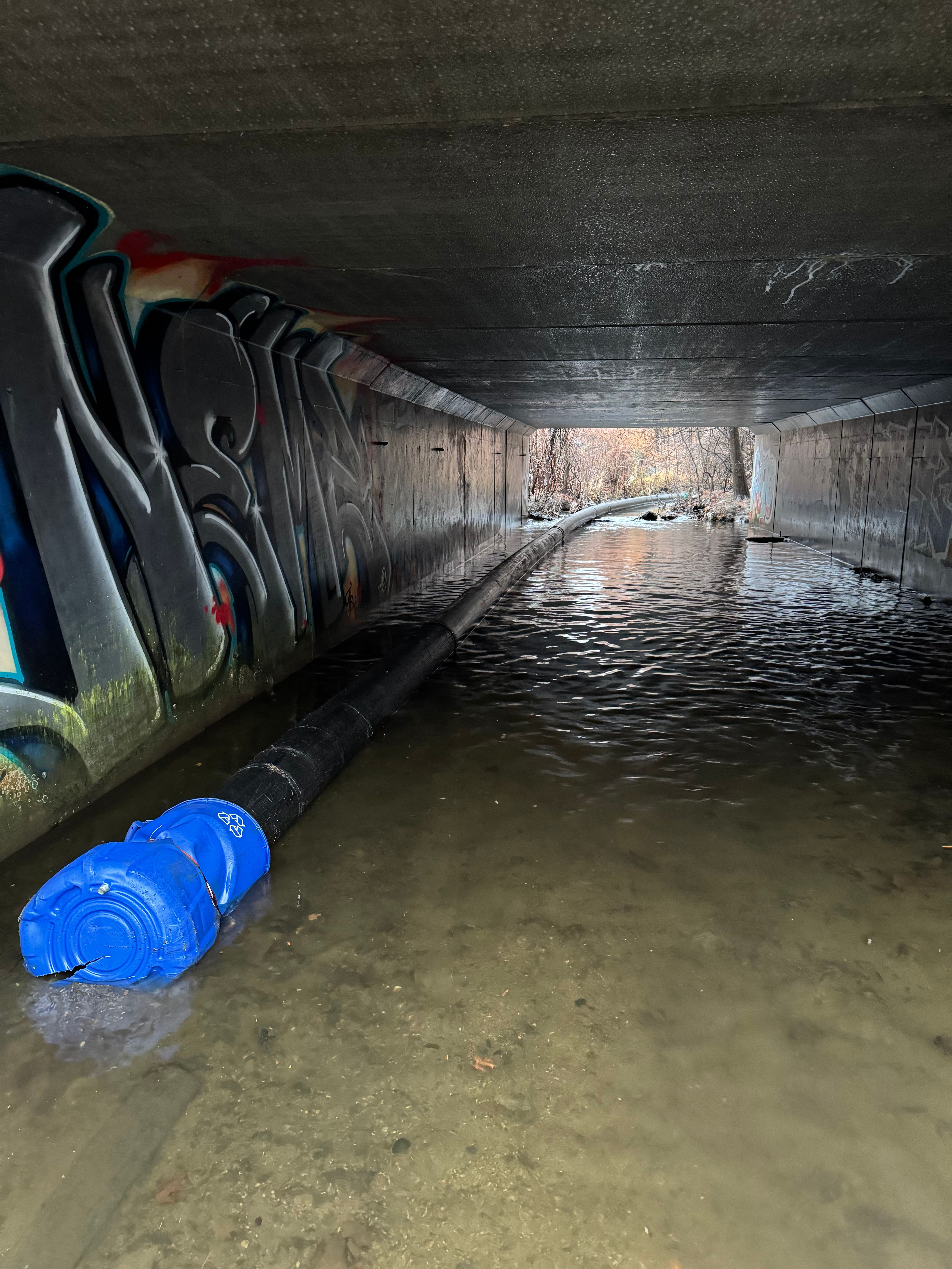  for Jack Of All Blades in Windsor County, VT