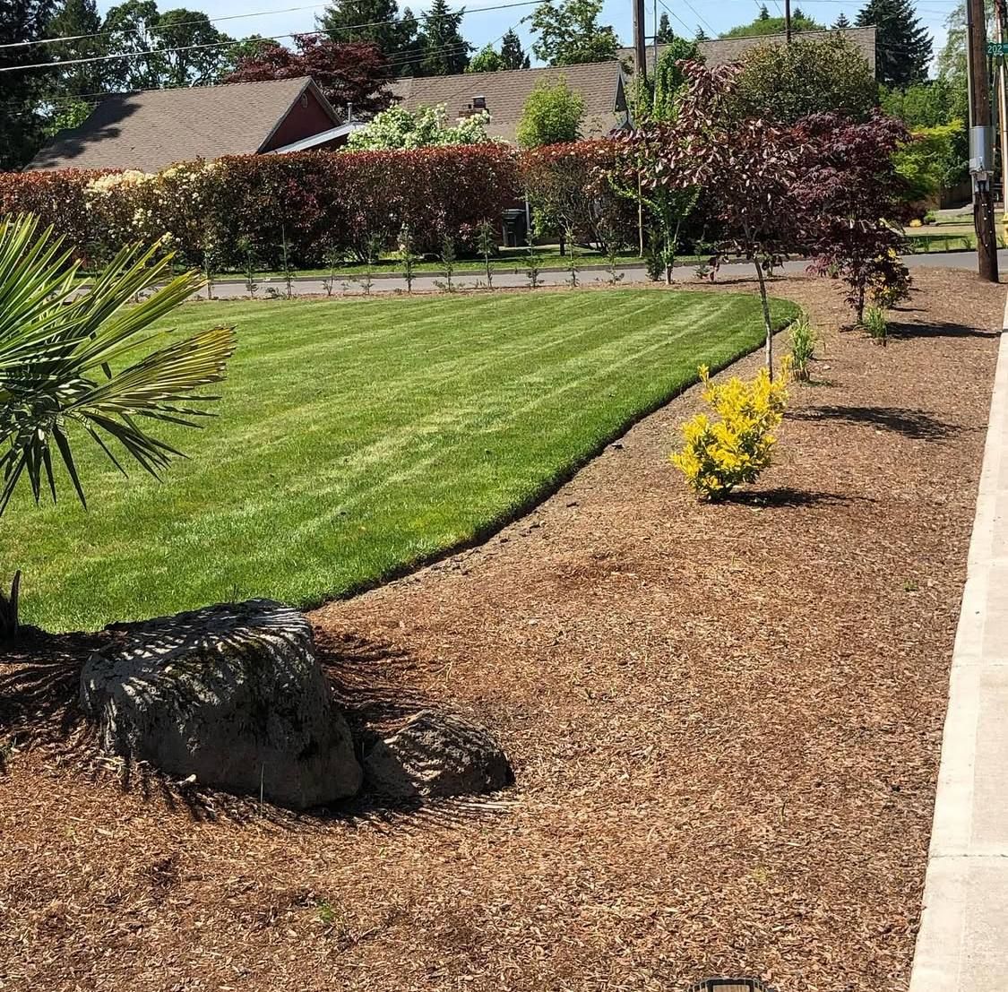 All Photos for Rs lawn Care llc in Beavertown, OR