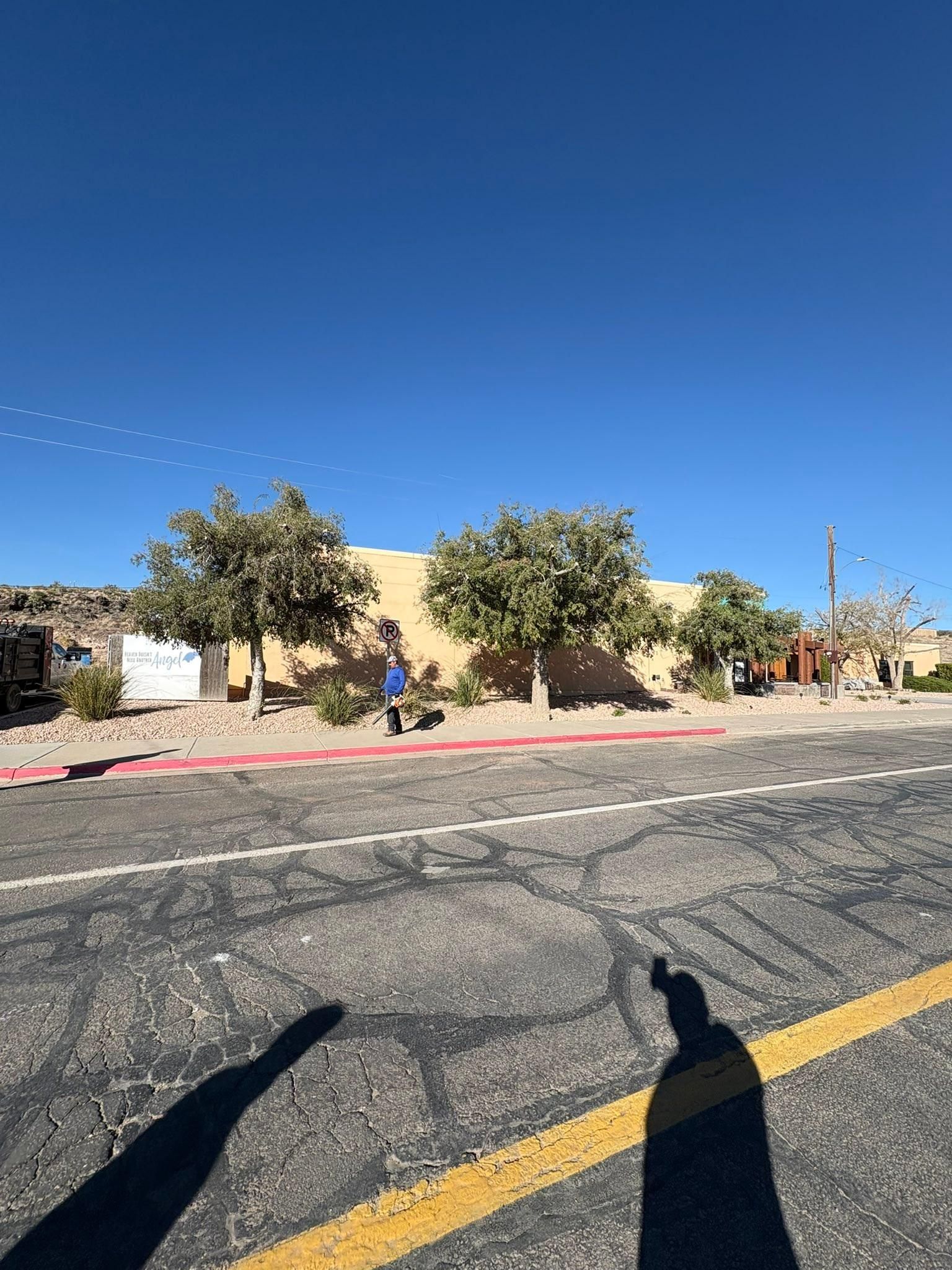  for Top Notch Landscape Services LLC in Mohave Valley, AZ