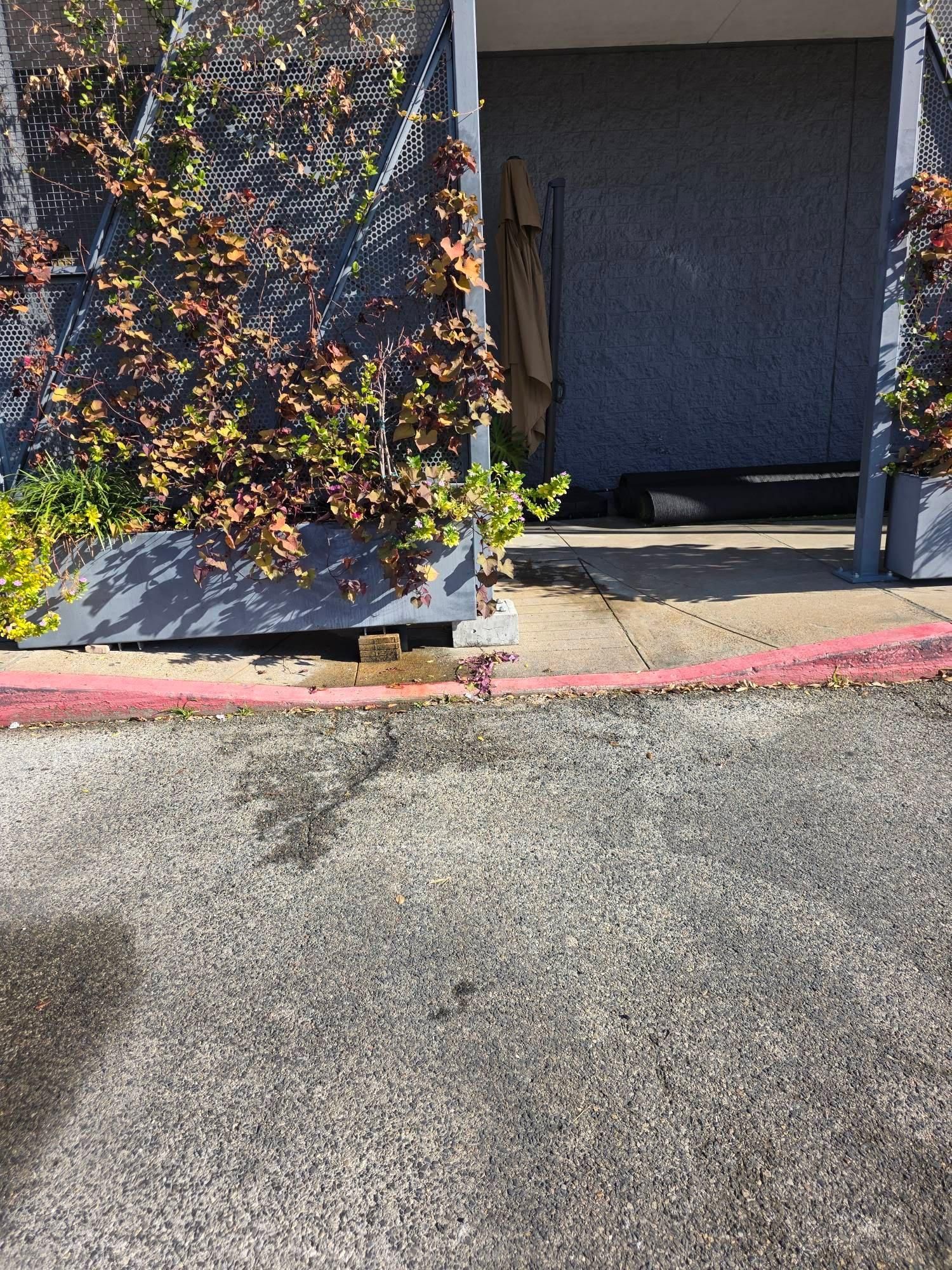  for Texas Curb N Borders in Houston, TX