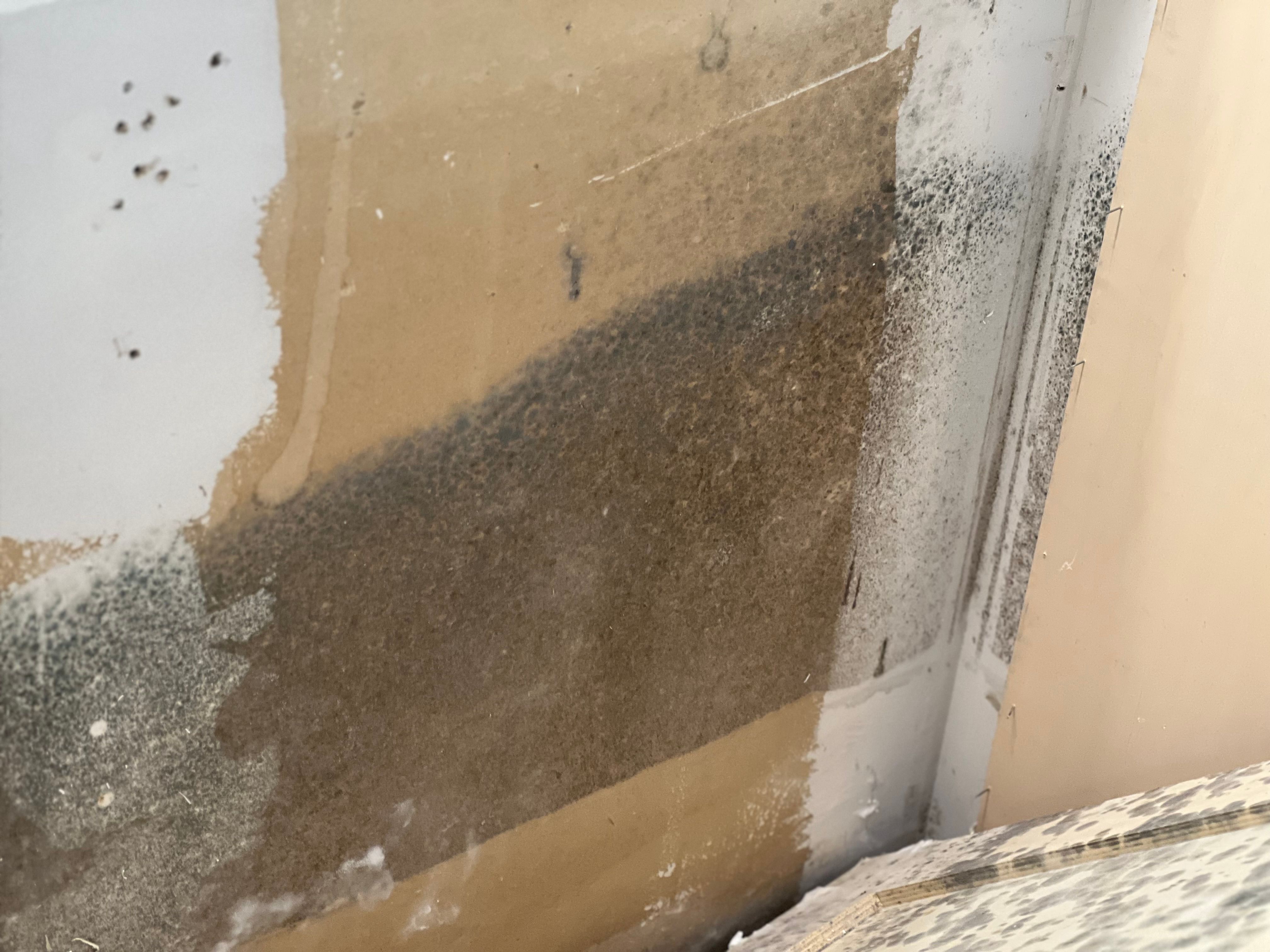  for N&D Restoration Services When Disaster Strikes, We Come In in Cape Coral,  FL