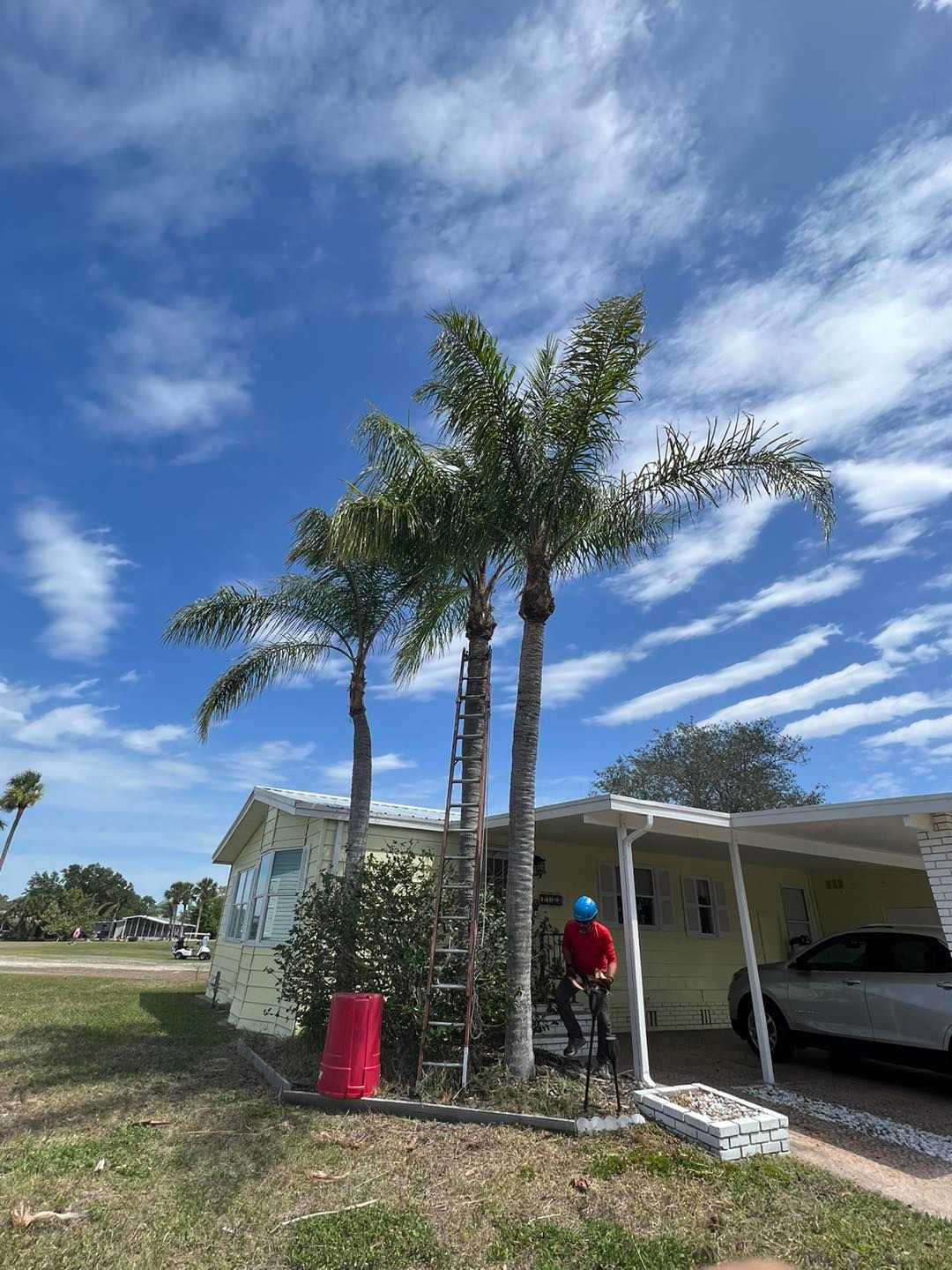 All Photos for TREE BOYS in Ruskin, FL