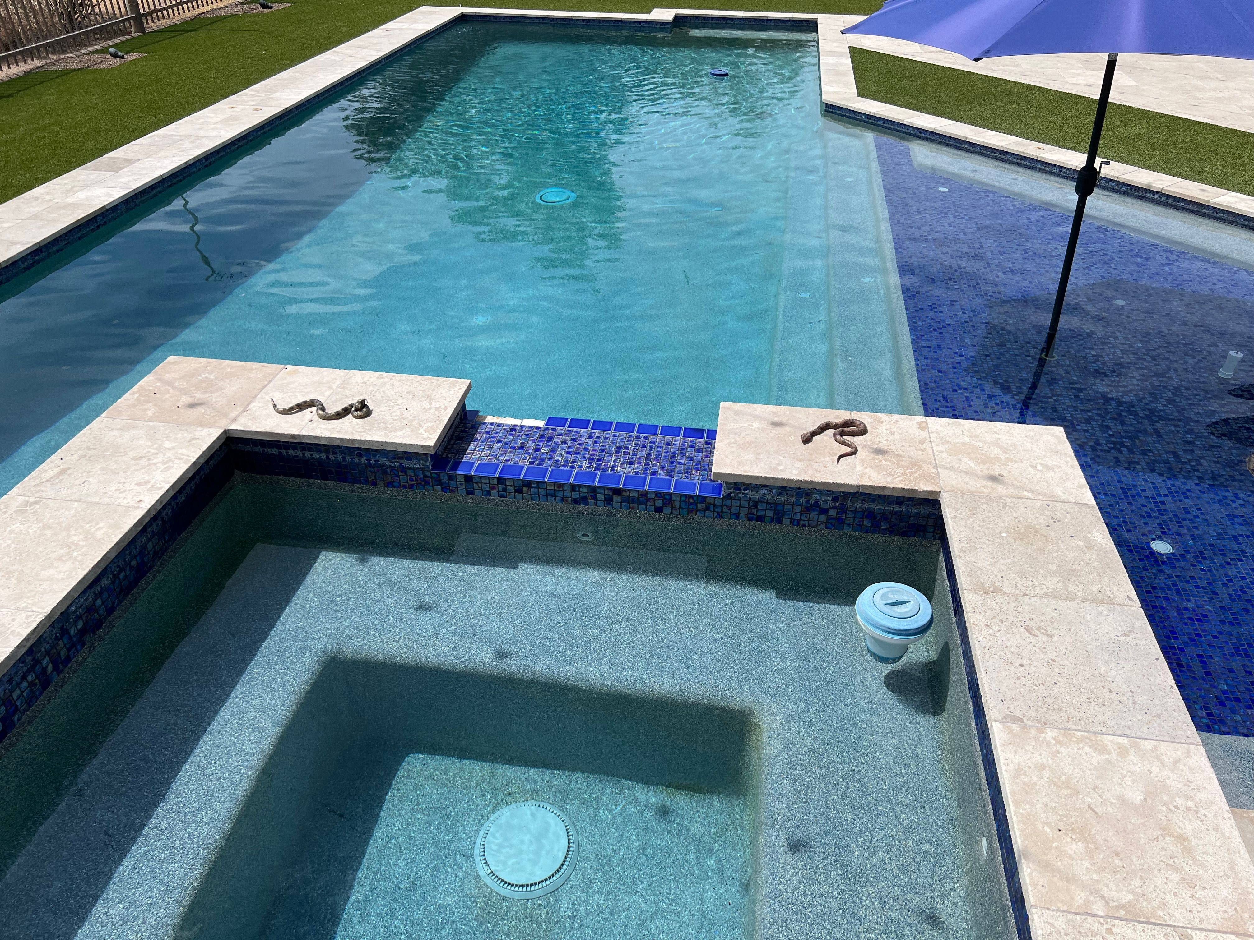  for Arizona Backyard Synergy in Phoenix, AZ