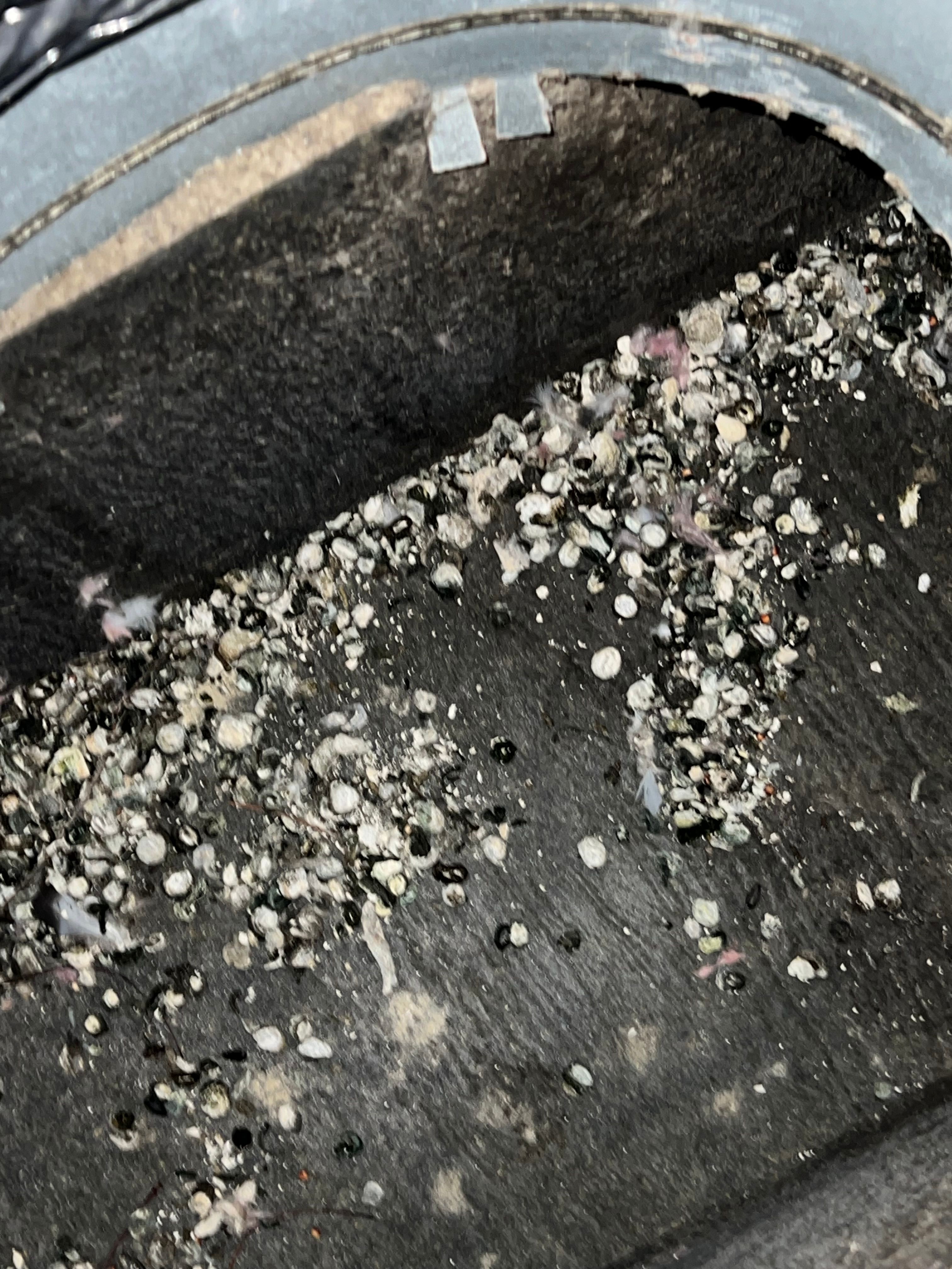  for N&D Restoration Services When Disaster Strikes, We Come In in Cape Coral,  FL