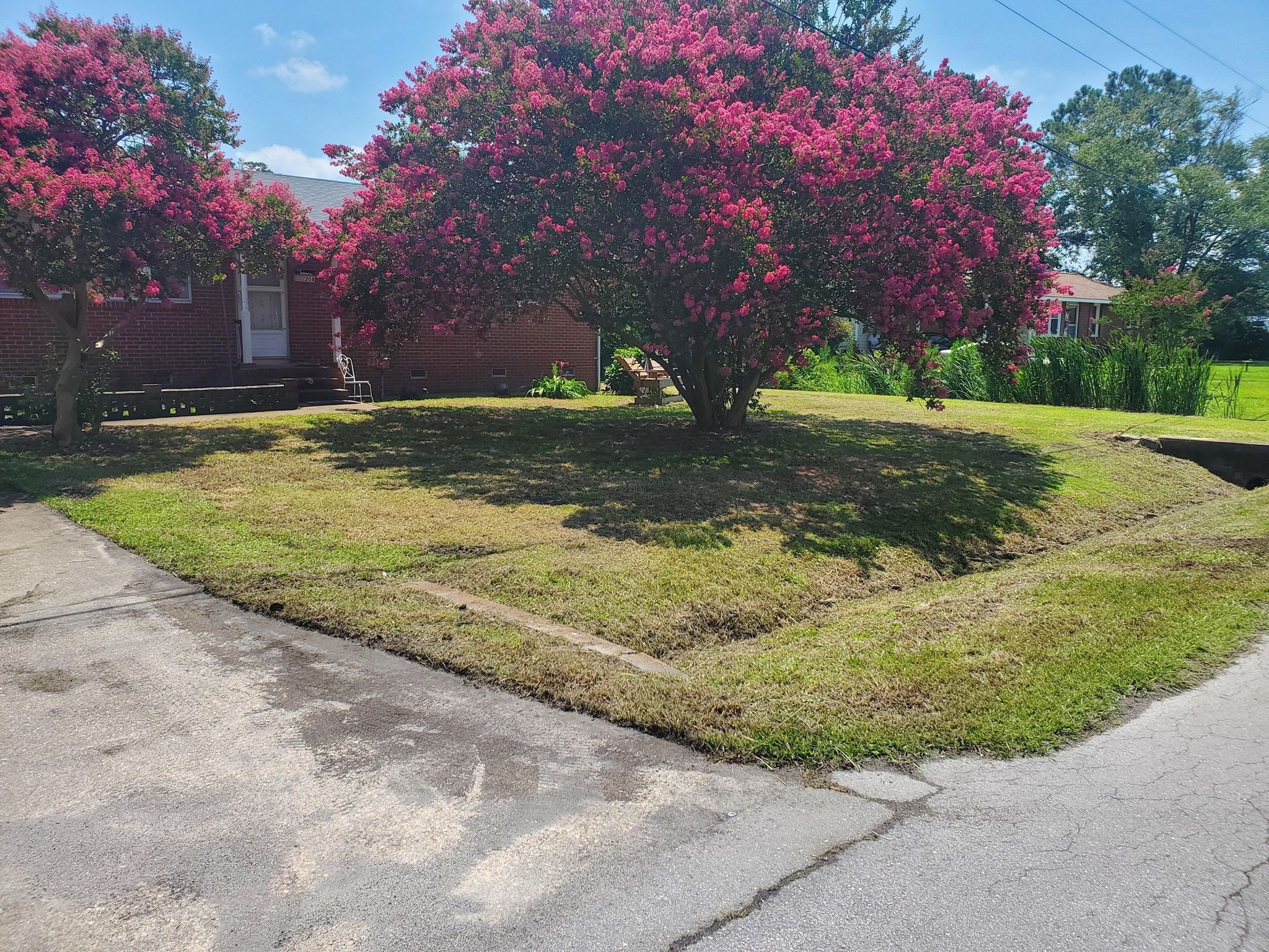 Fall and Spring Clean Up for Heroy's Lawn Services in Jacksonville, North Carolina