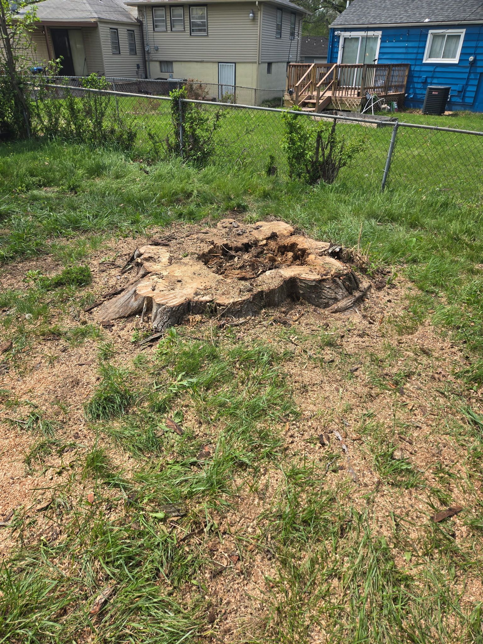 All Photos for Cross Family Tree Service in Kearney, MO