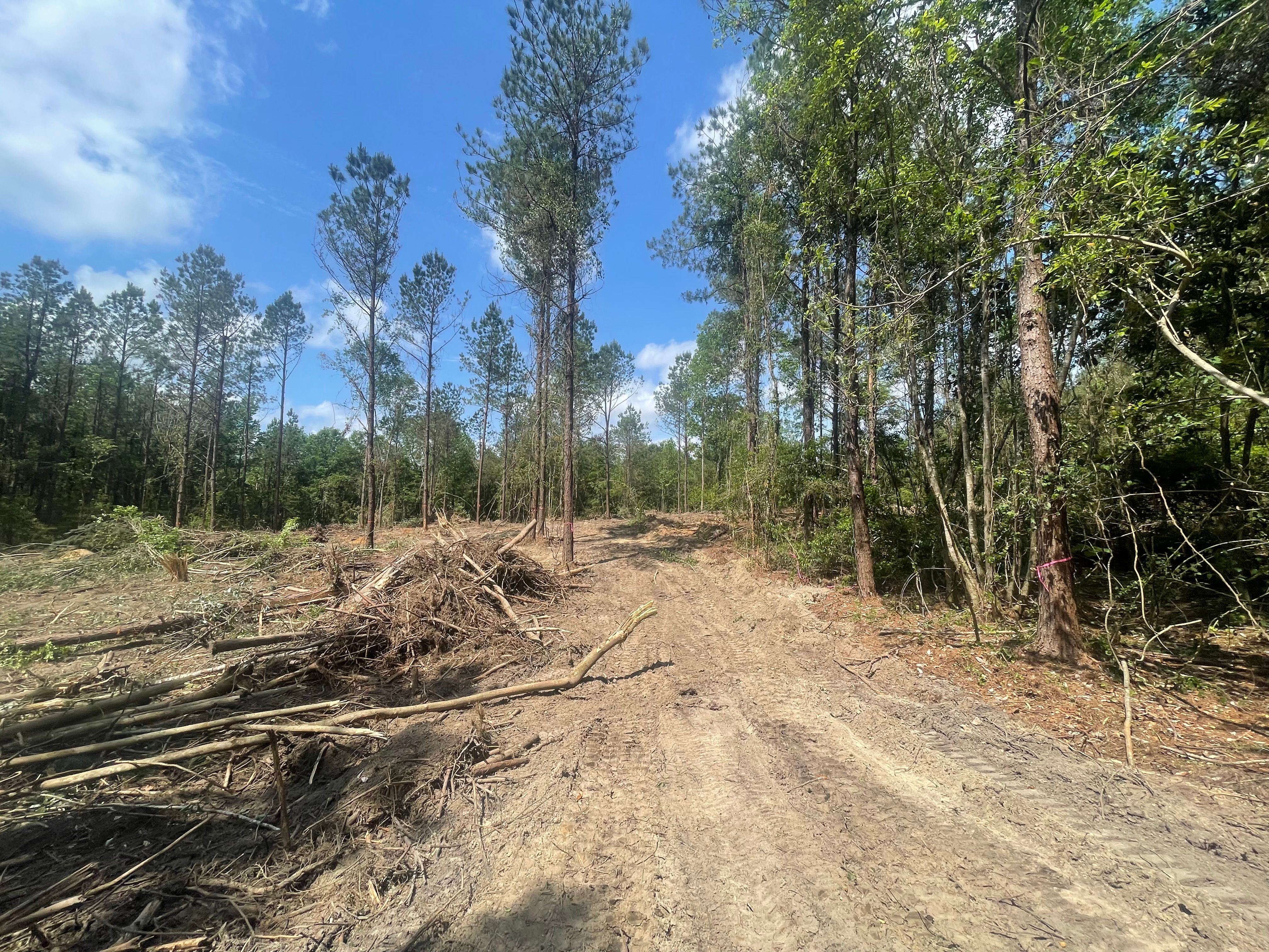  for Platinum Construction llc in Pearl River, MS